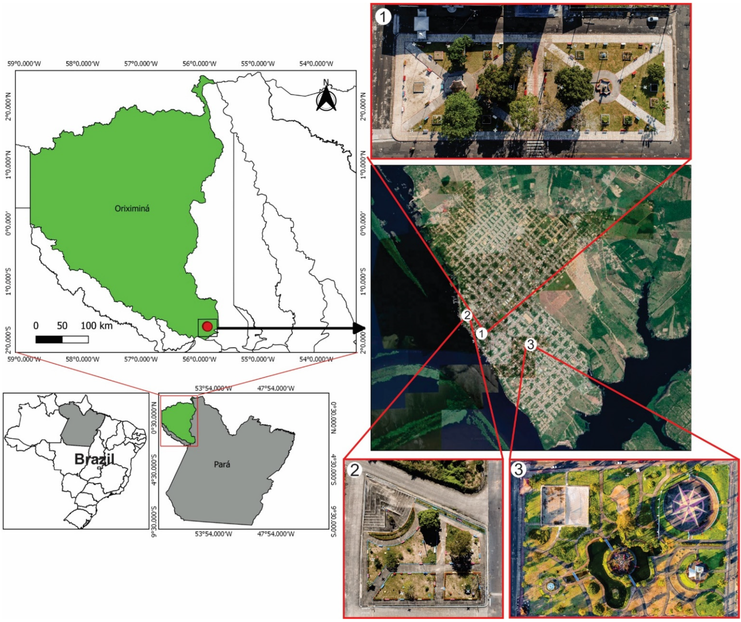 Sustainability | Free Full-Text | Plant Species Composition and the  Perception of the Afforestation in Urban Public Green Spaces in a  Municipality in Eastern Brazilian Amazon