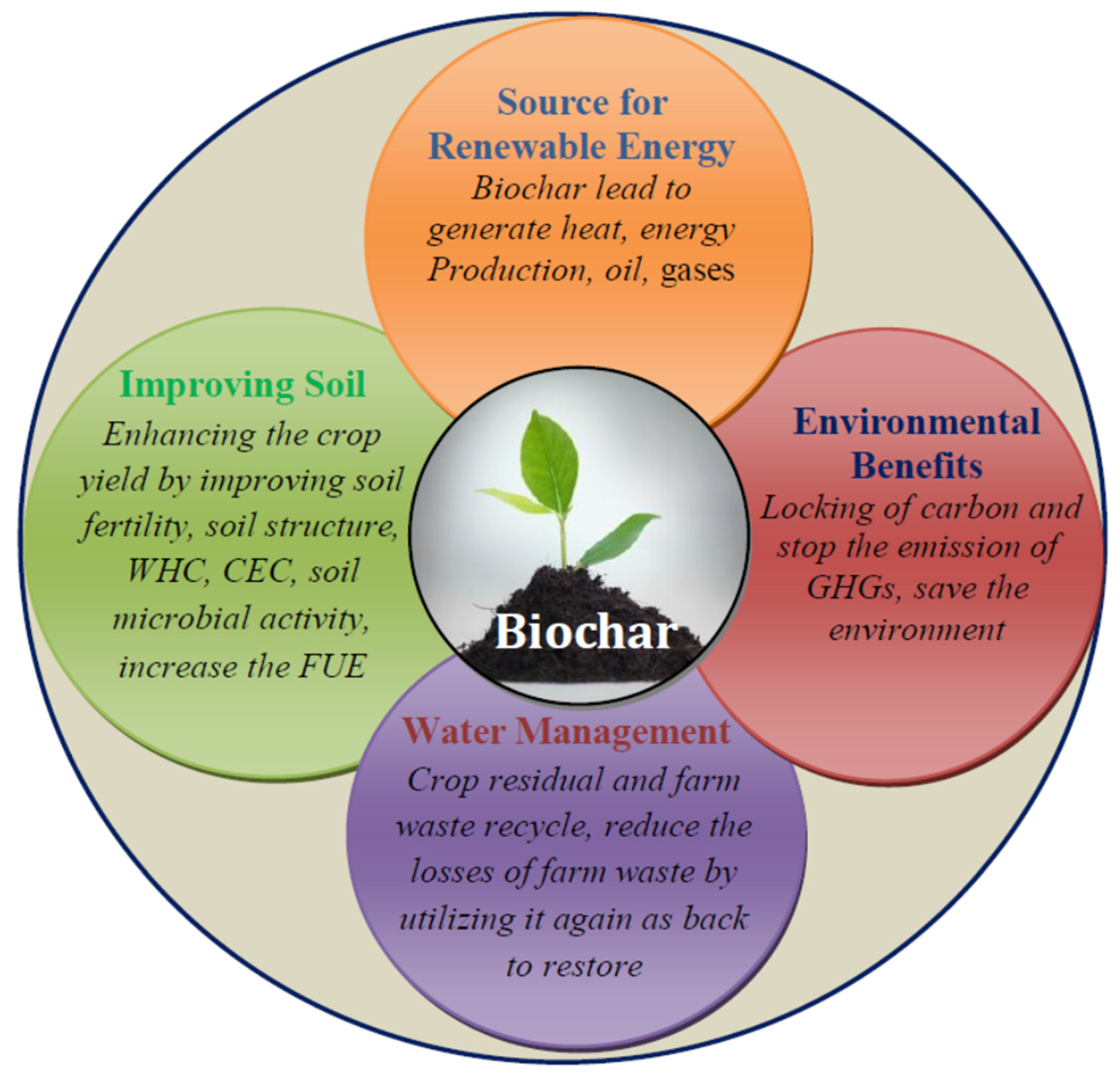 Biochar mitigates bioavailability and environmental risks of