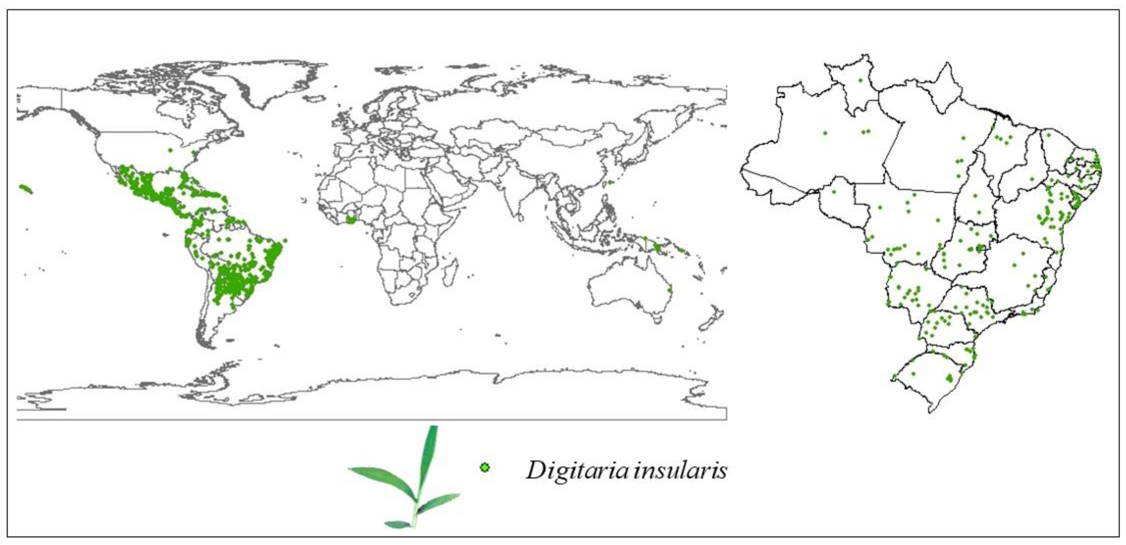 Sustainability 13 10405 g001
