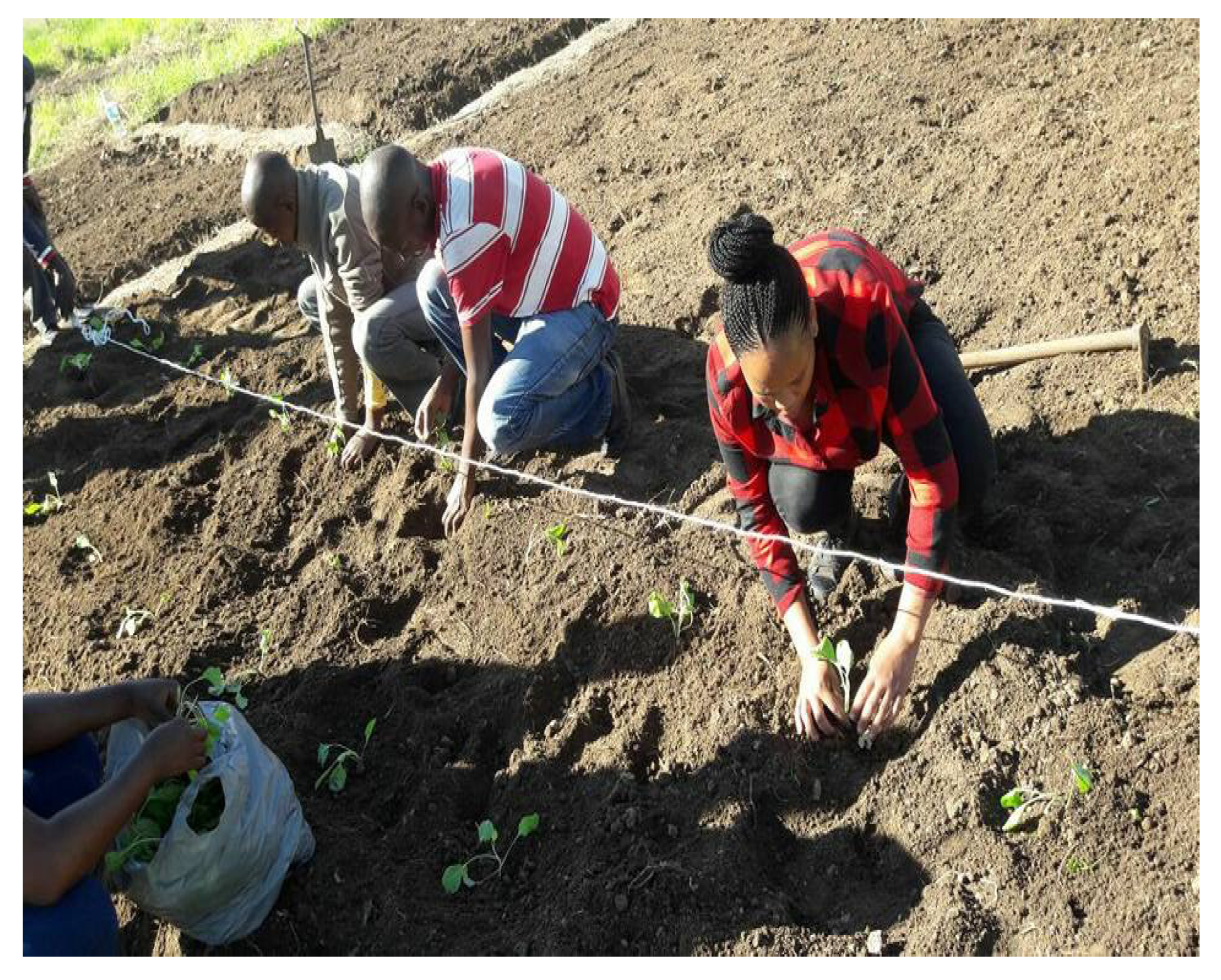 Sustainability 13 10411 g003 Sustainability 13 10411 g003