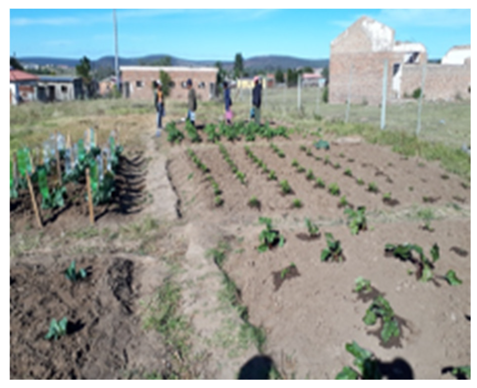 Sustainability 13 10411 g004 Sustainability 13 10411 g004