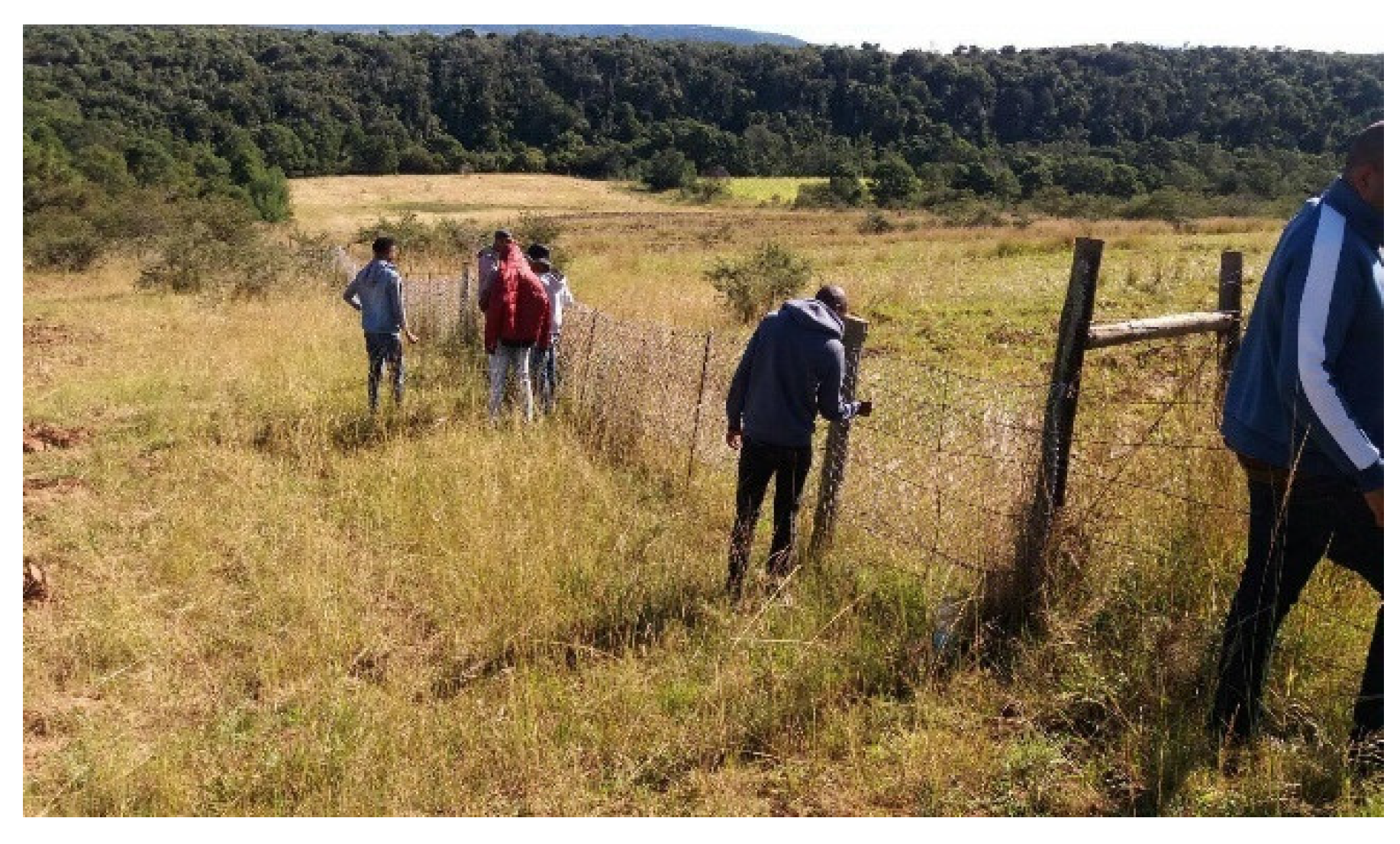 Sustainability 13 10411 g005 Sustainability 13 10411 g005