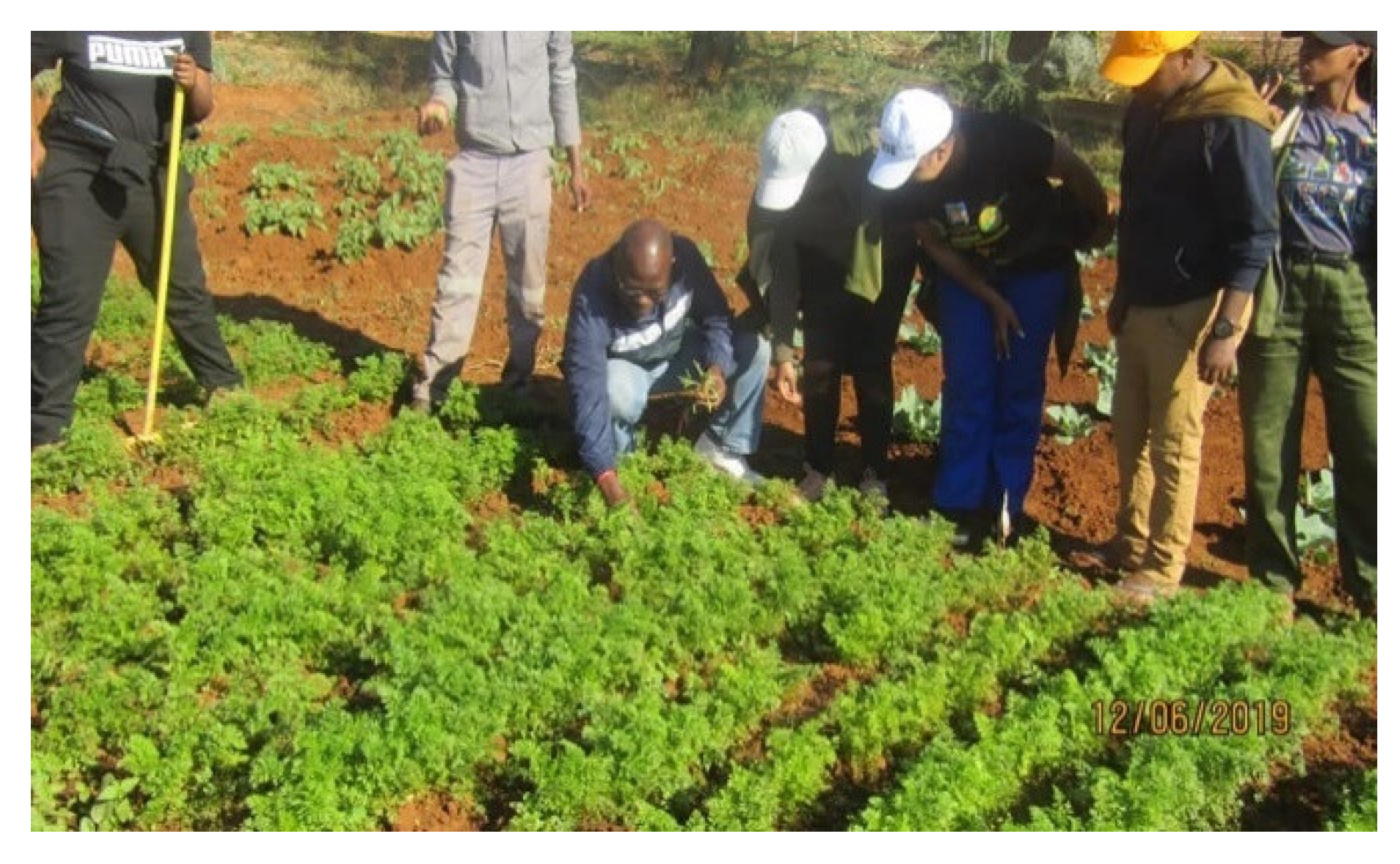 Sustainability 13 10411 g007 Sustainability 13 10411 g007