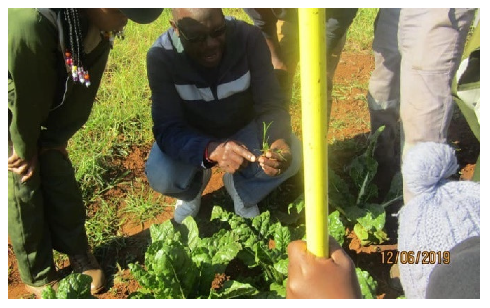 Sustainability 13 10411 g008 Sustainability 13 10411 g008