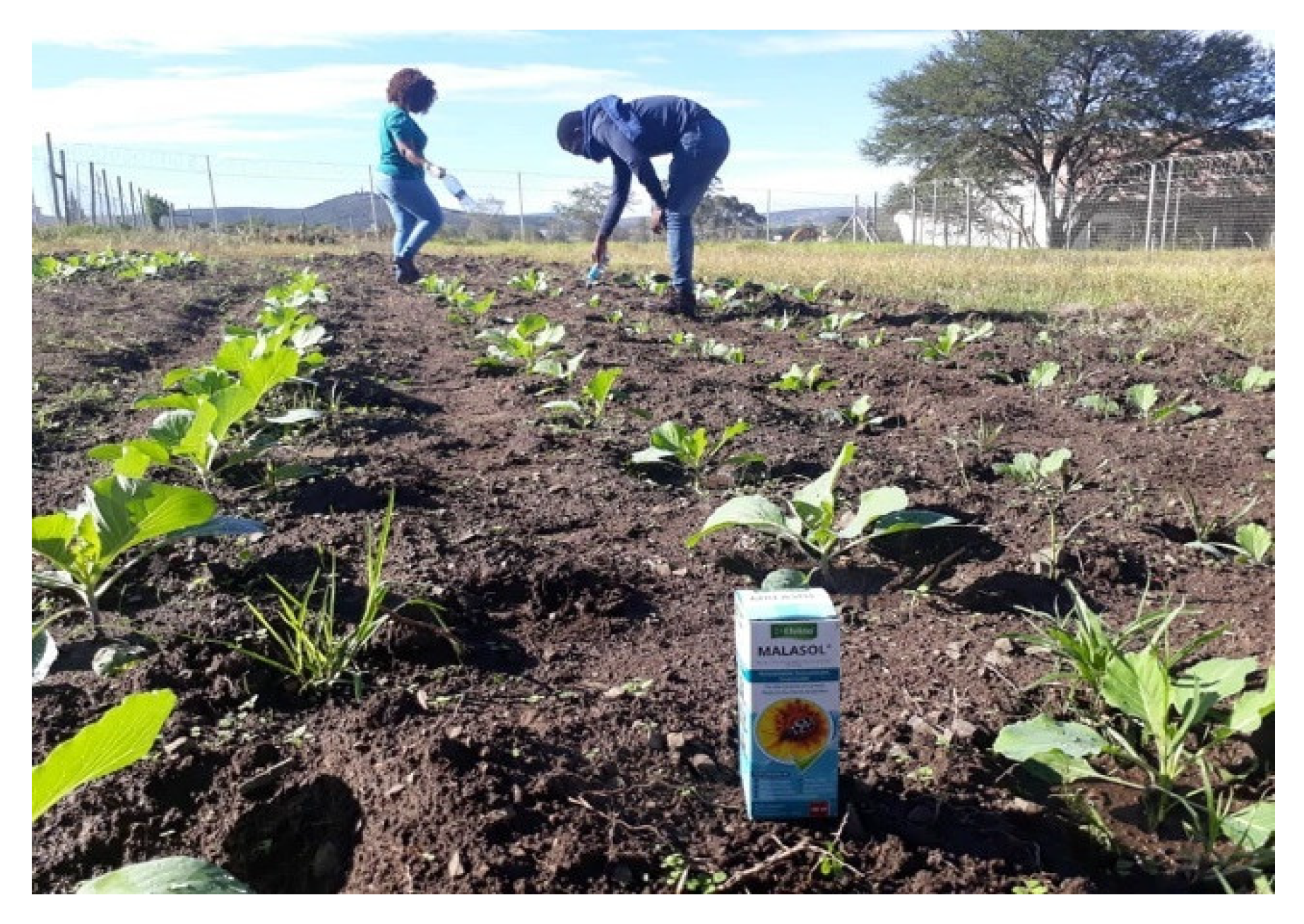 Sustainability 13 10411 g010 Sustainability 13 10411 g010