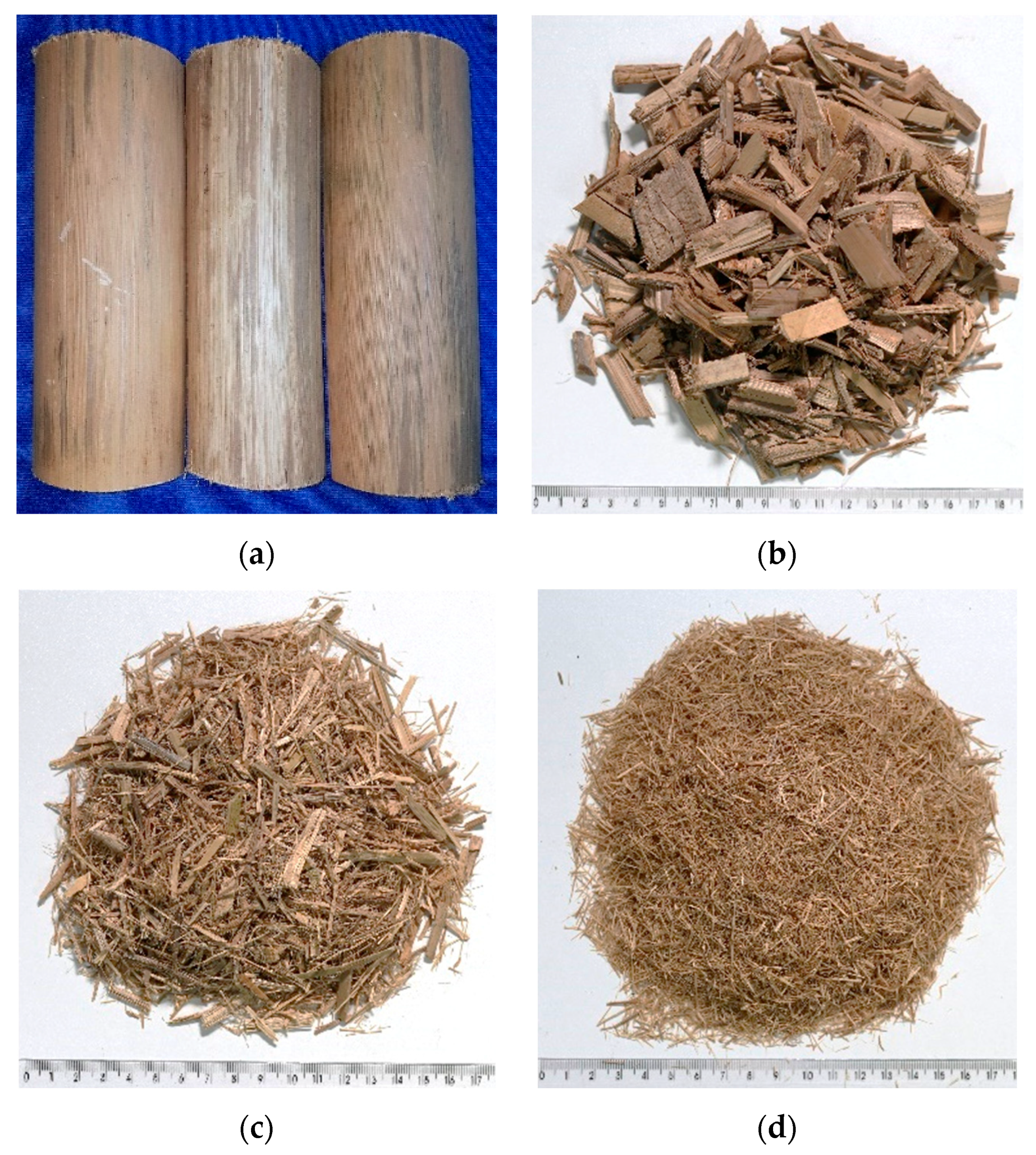 Sustainability 13 10429 g002