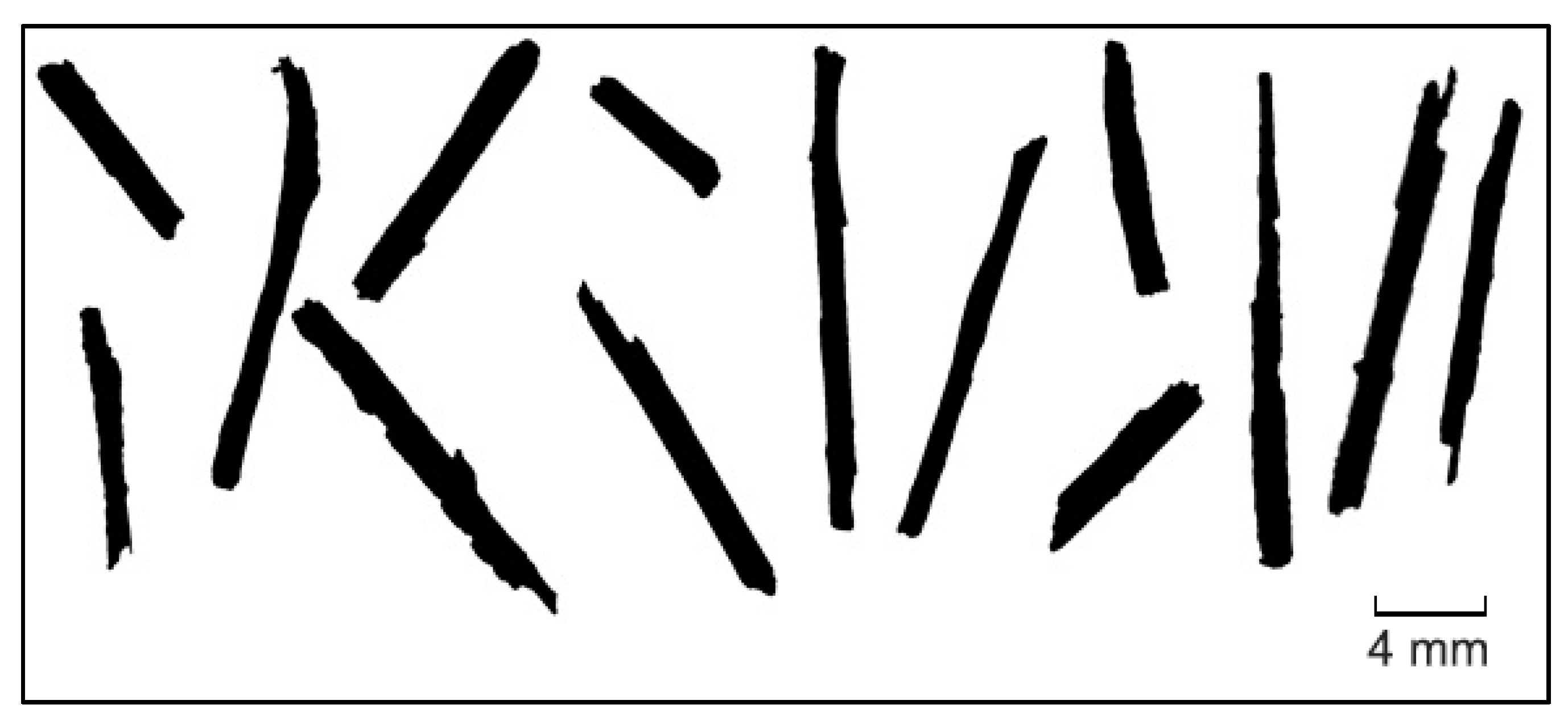 Sustainability 13 10429 g003