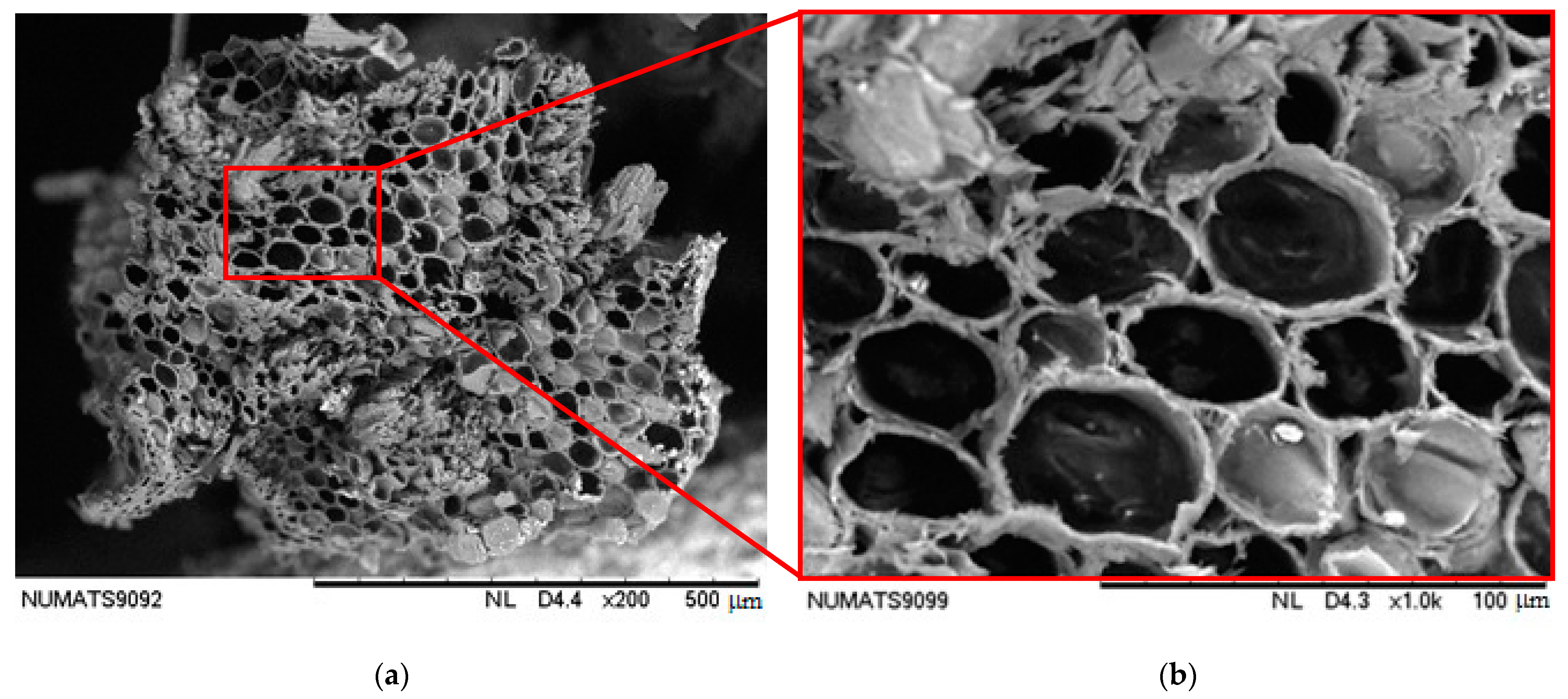 Sustainability 13 10429 g004