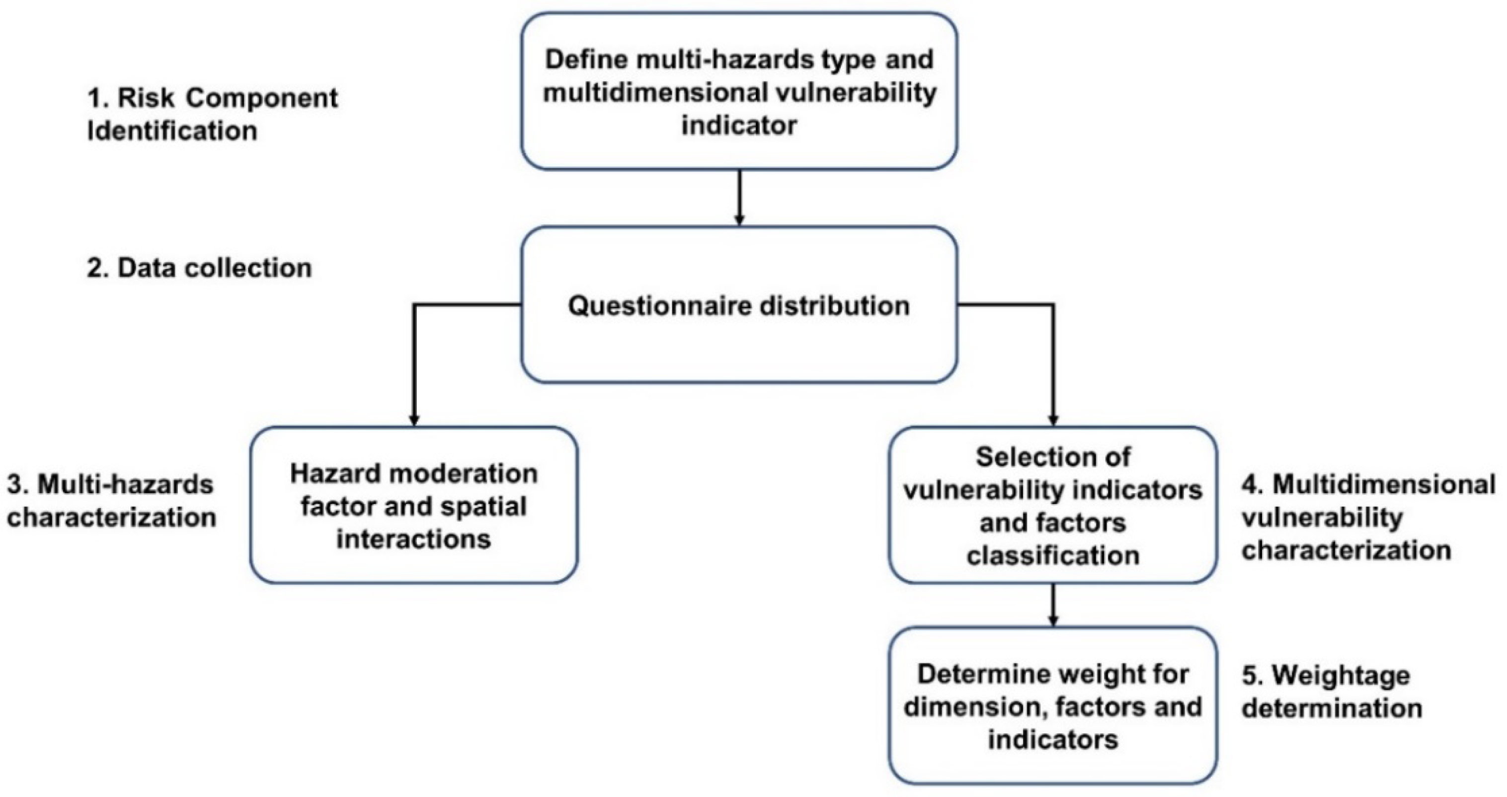 disaster risk assessment