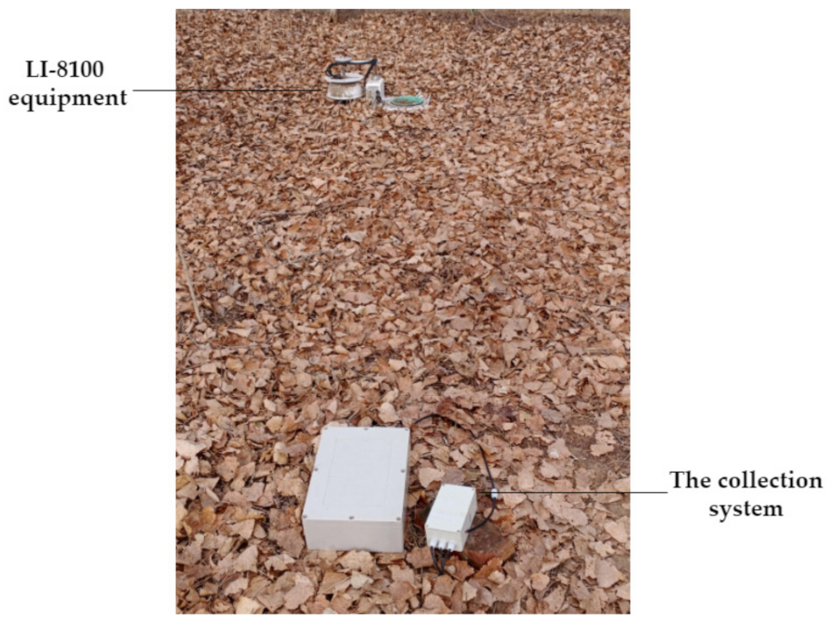 Sustainability 13 10874 g004