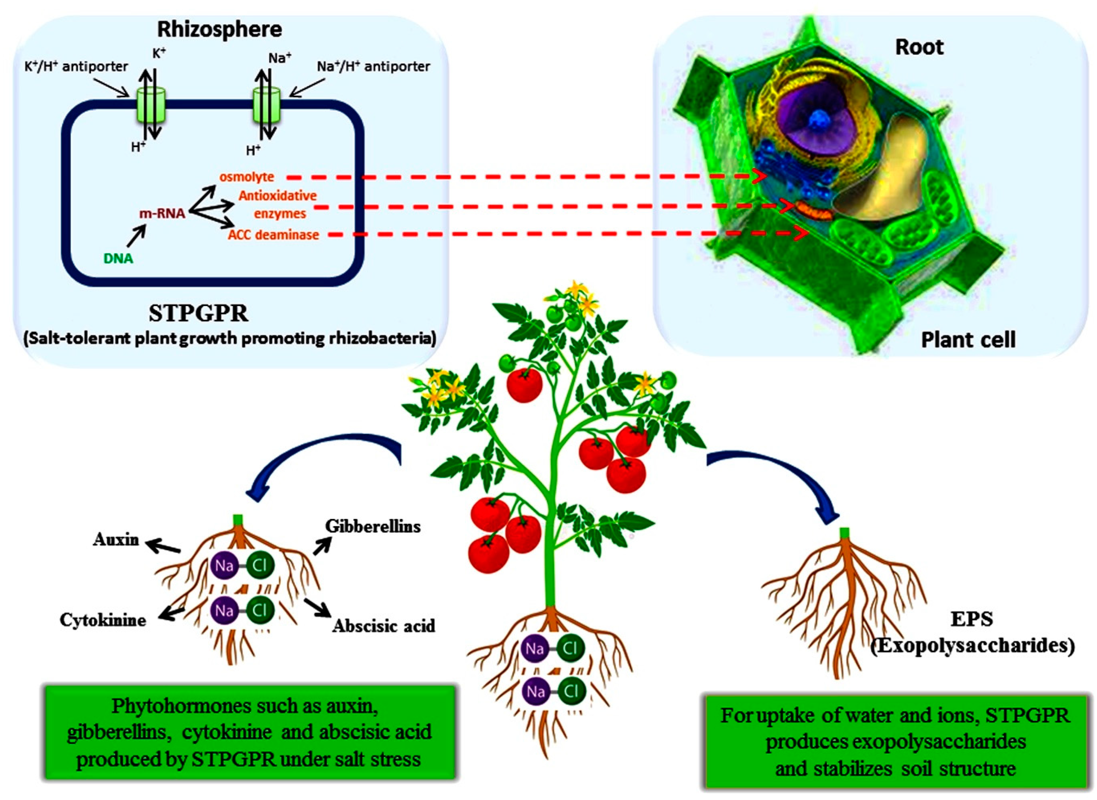 Sustainability 13 10986 g005