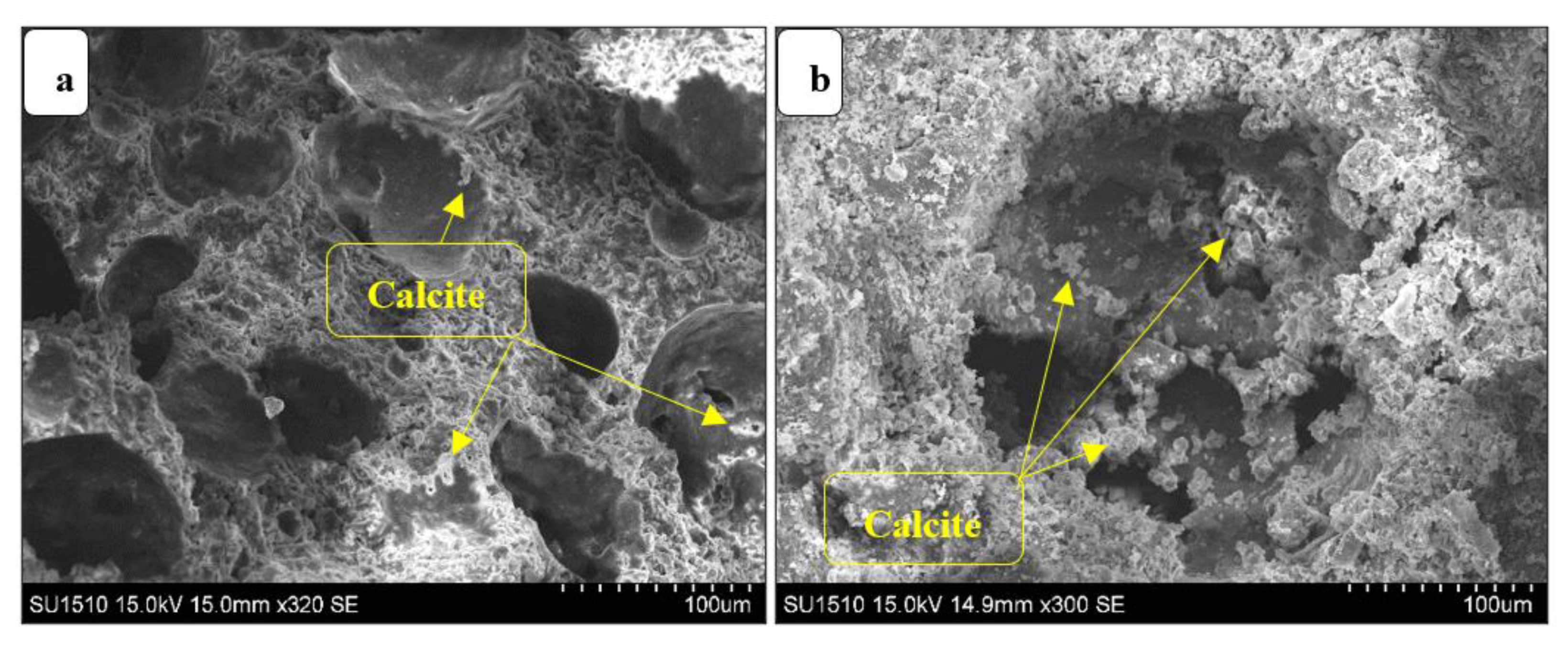 Sustainability 13 10999 g012