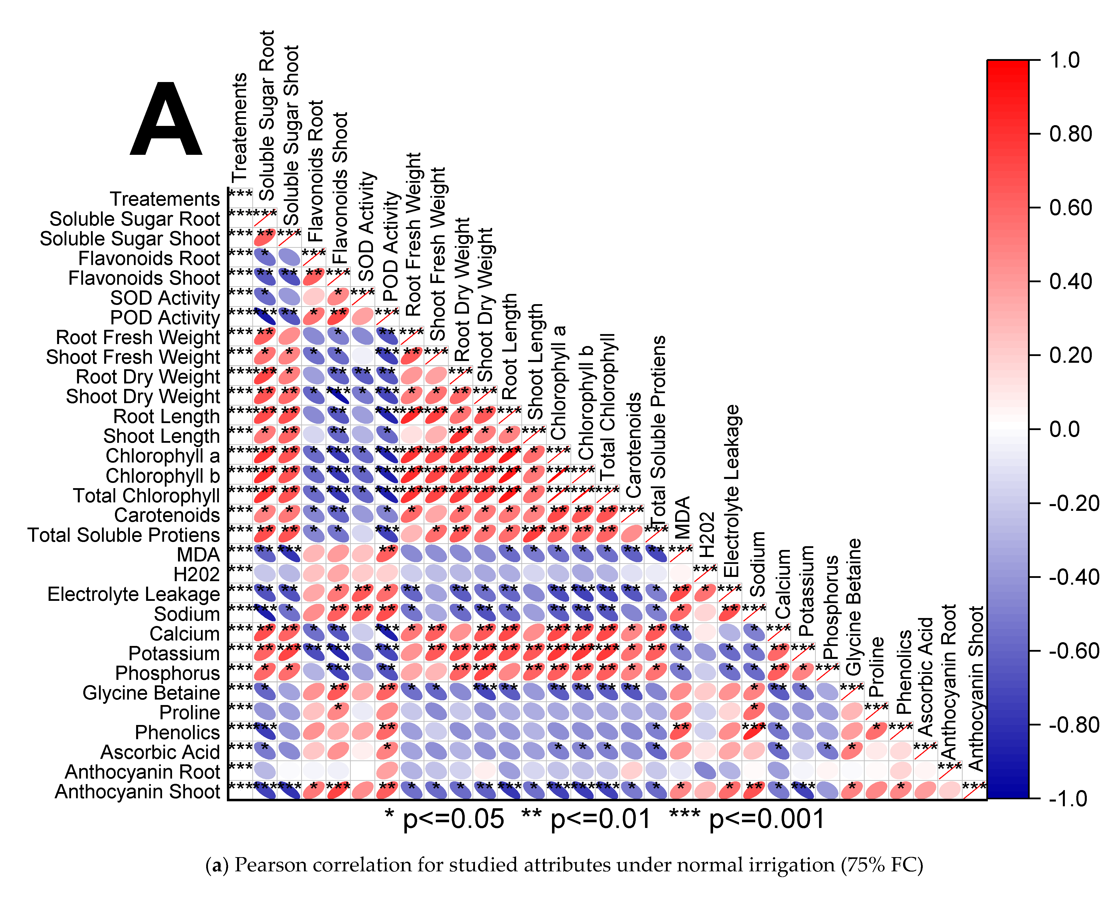 Sustainability 13 11007 g001a