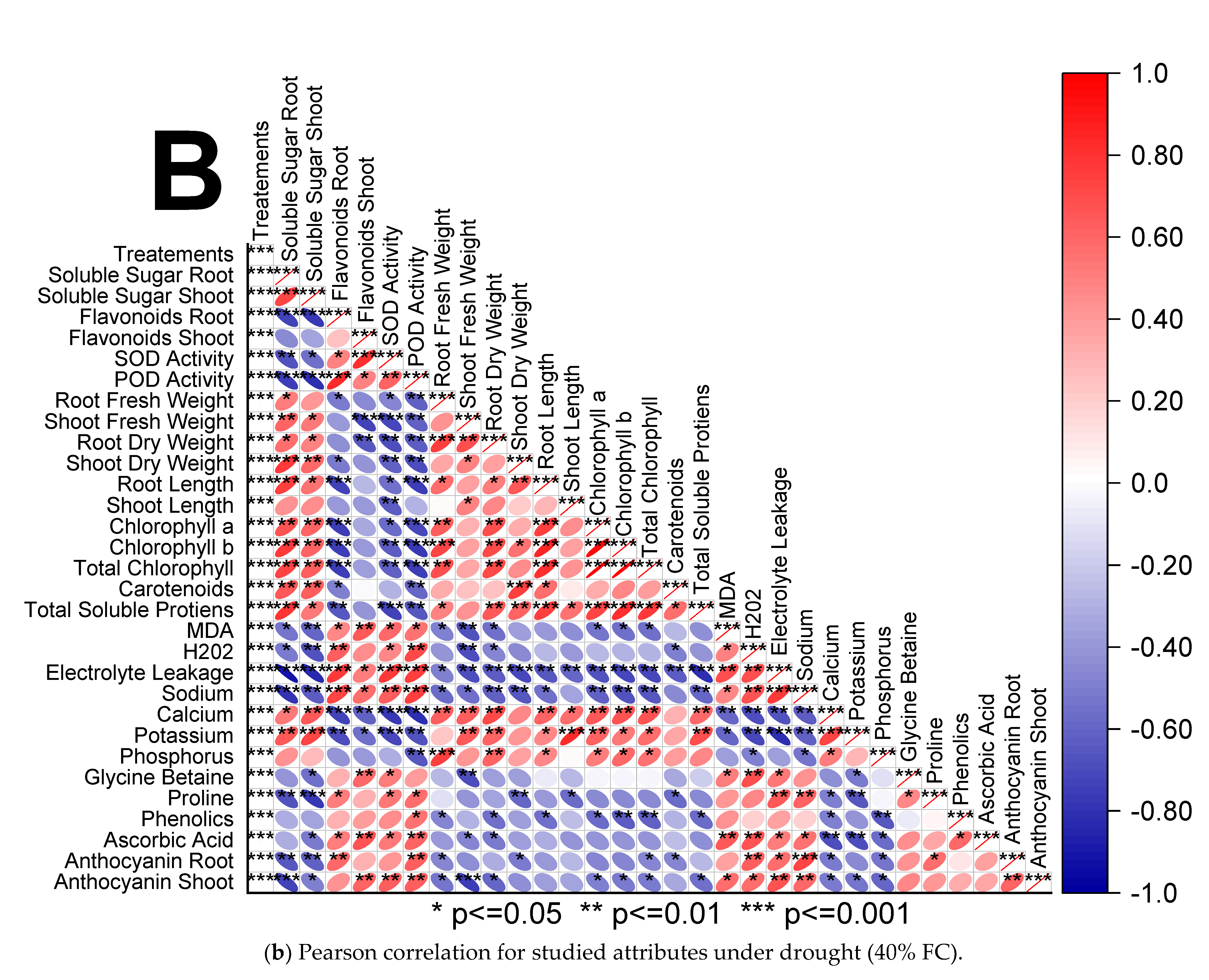 Sustainability 13 11007 g001b