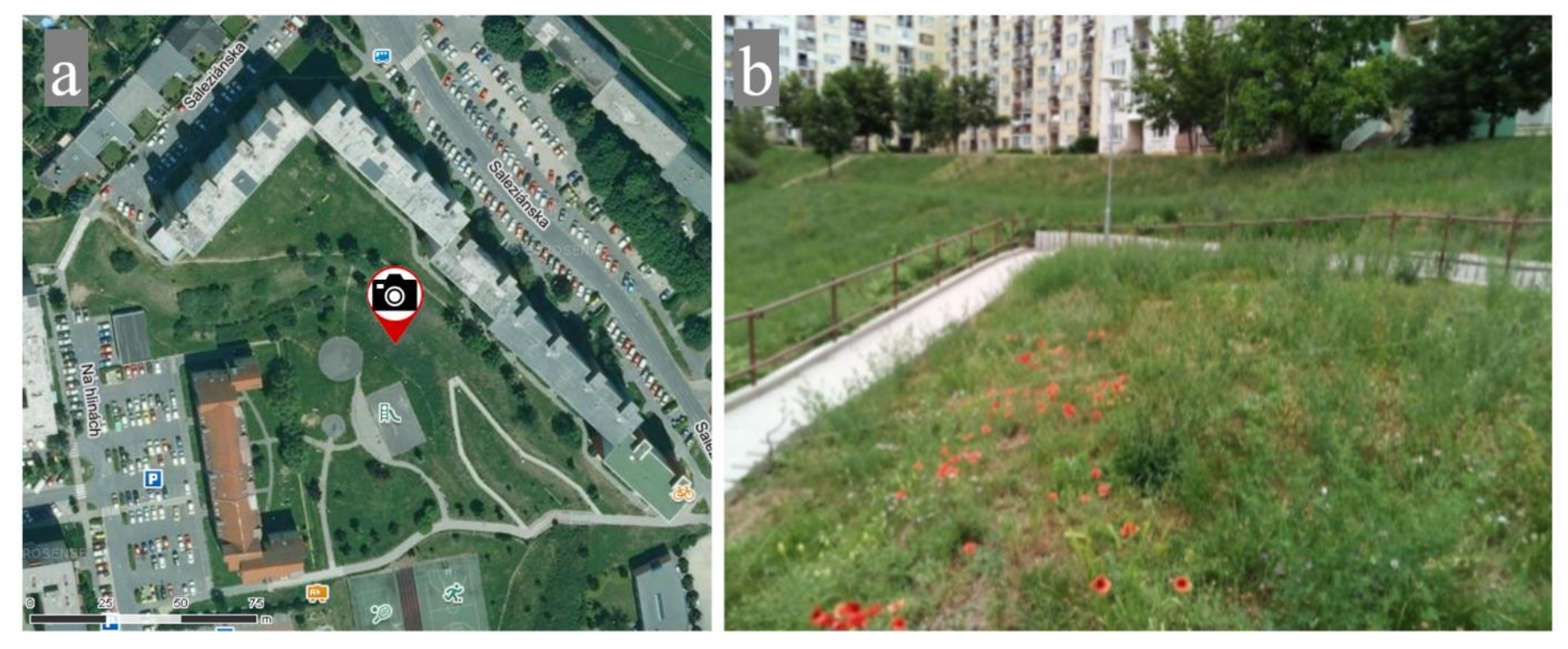 Sustainability 13 11027 g004