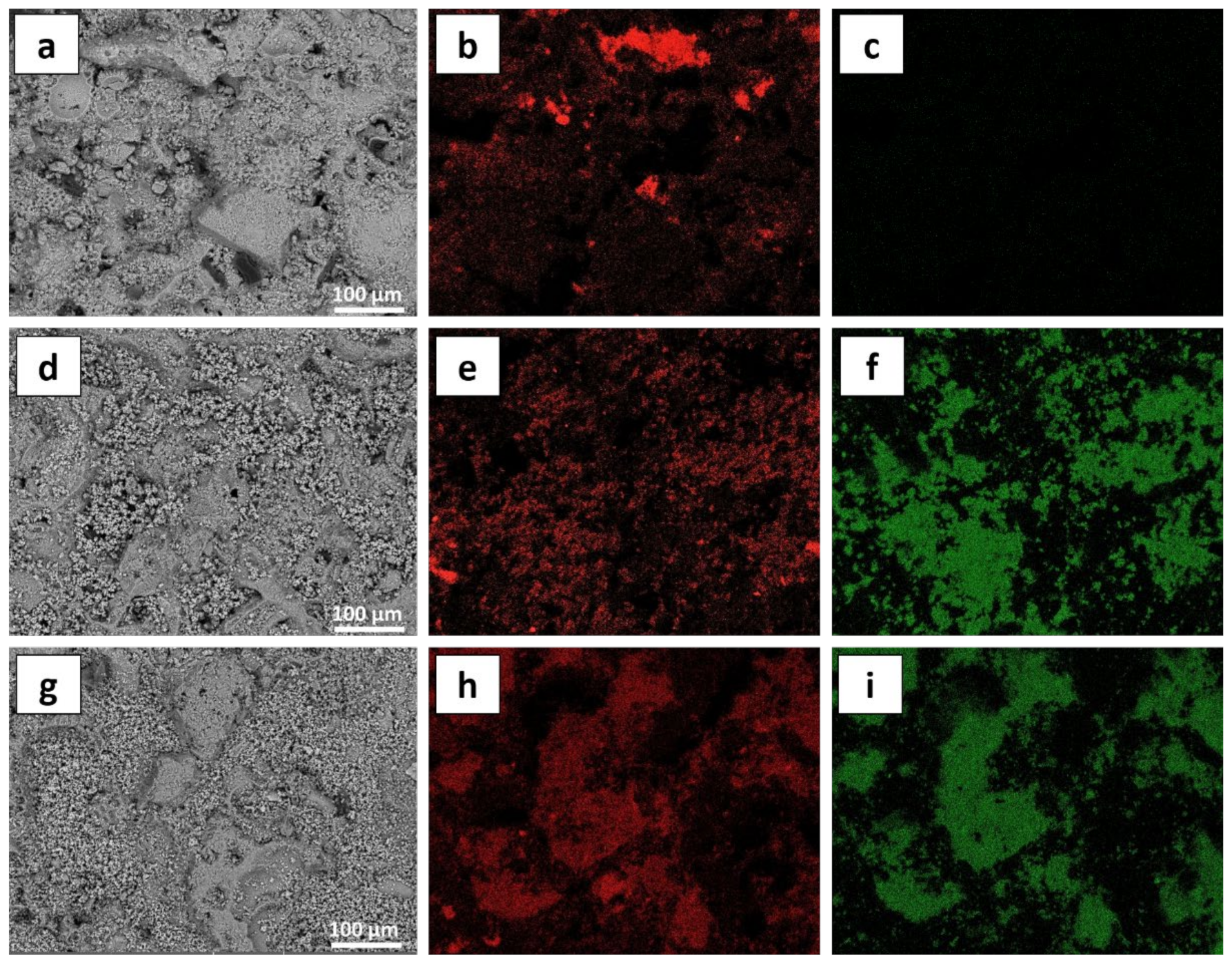 Sustainability 13 11033 g006