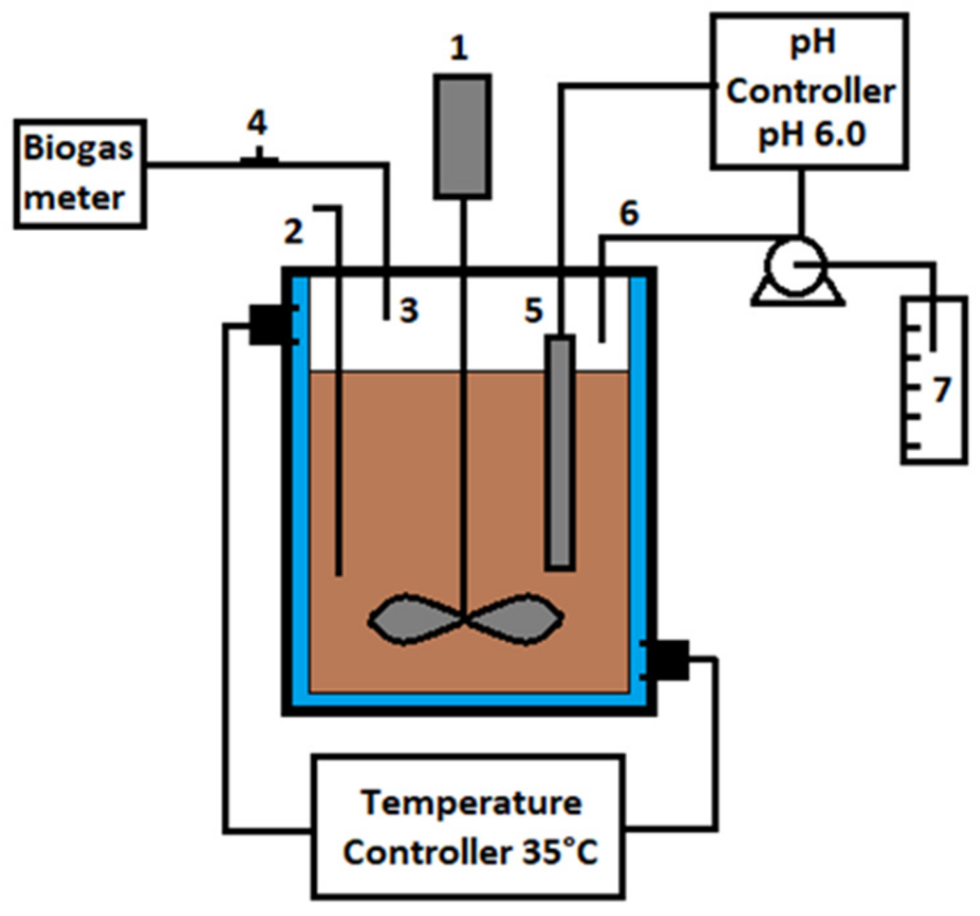 Sustainability 13 11034 g001