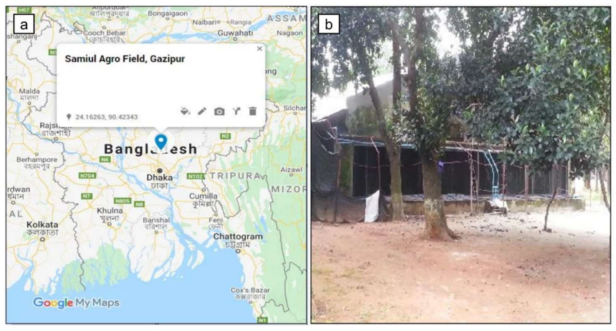 Sustainability 13 11096 g001