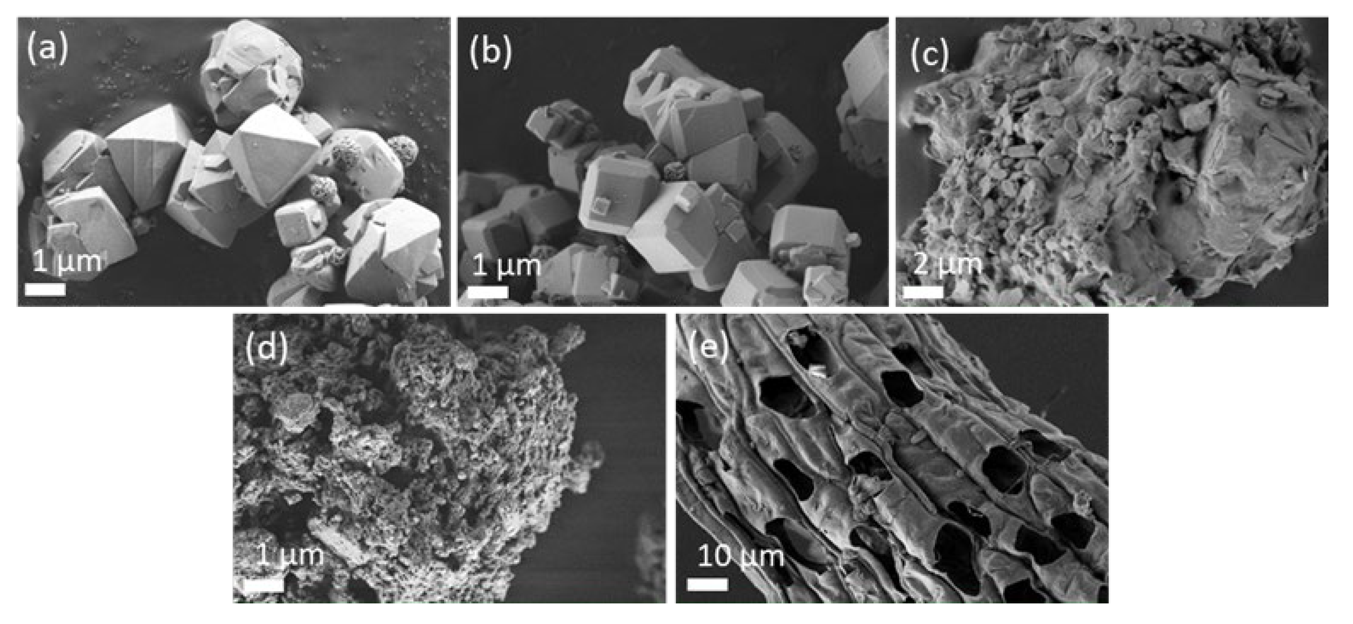 Sustainability 13 11156 g001