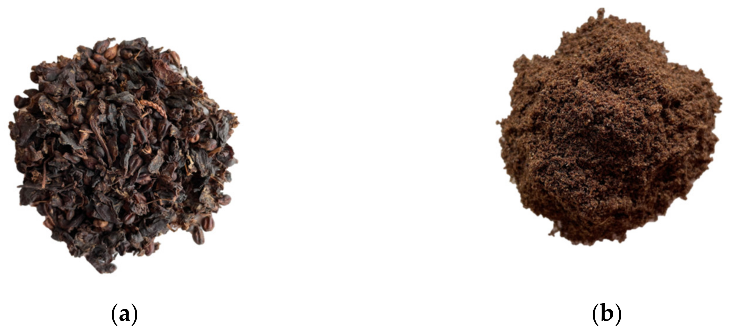 Sustainability 13 11187 g001