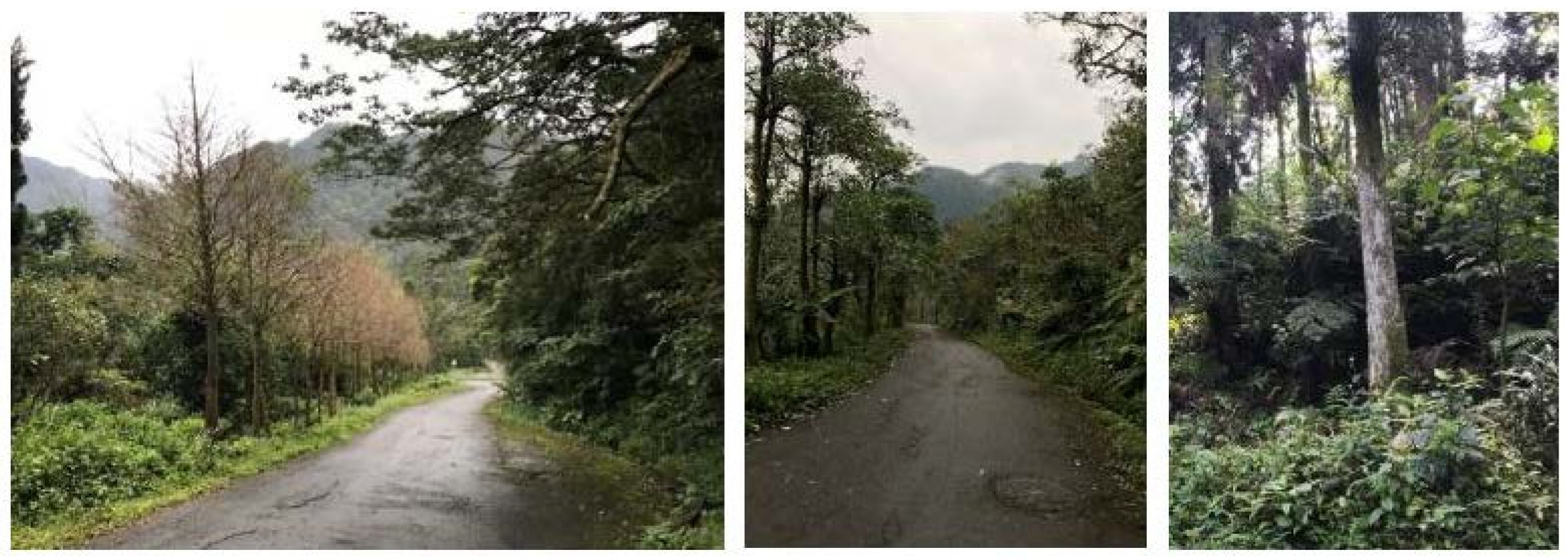 Sustainability 13 11370 g002