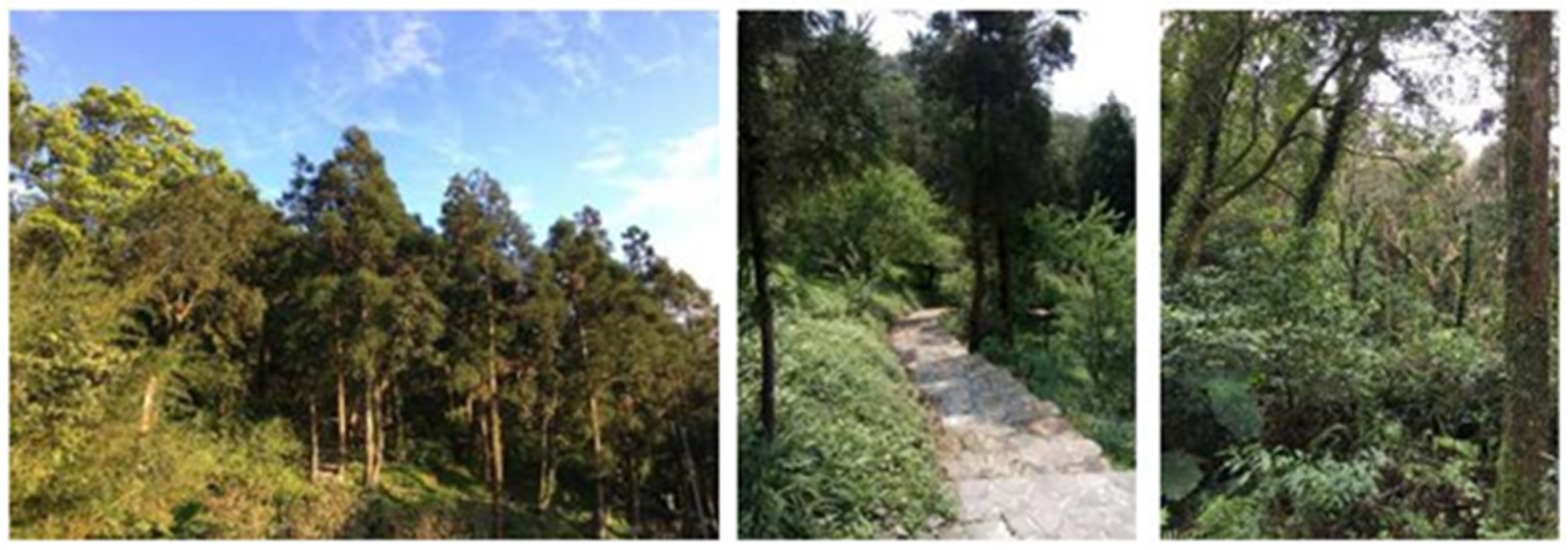 Sustainability 13 11370 g003