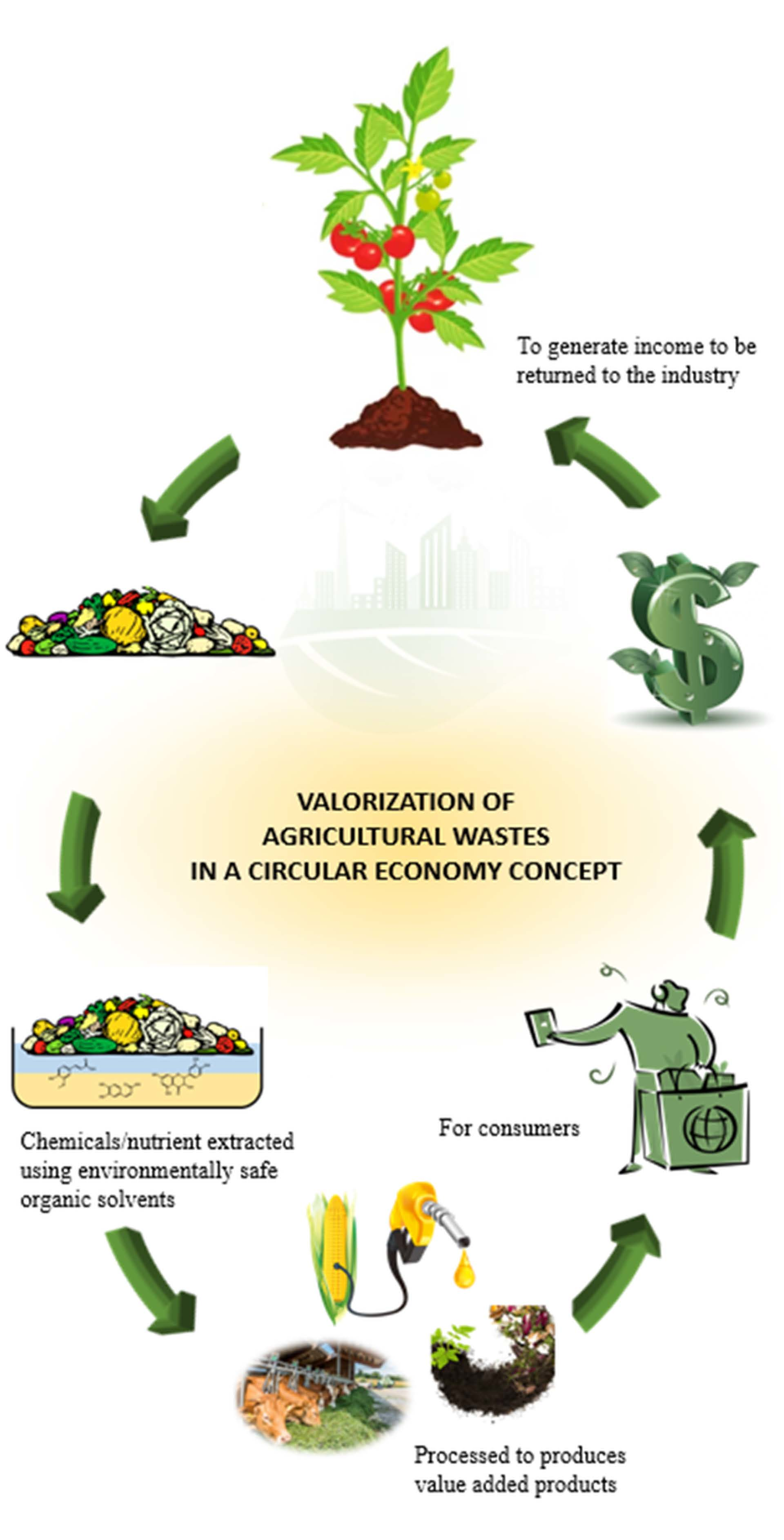 Sustainability  Free Full-Text  Value-Added Metabolites from 