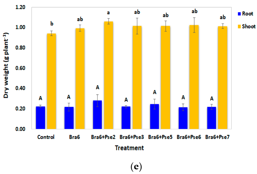 Sustainability 13 11539 g004b