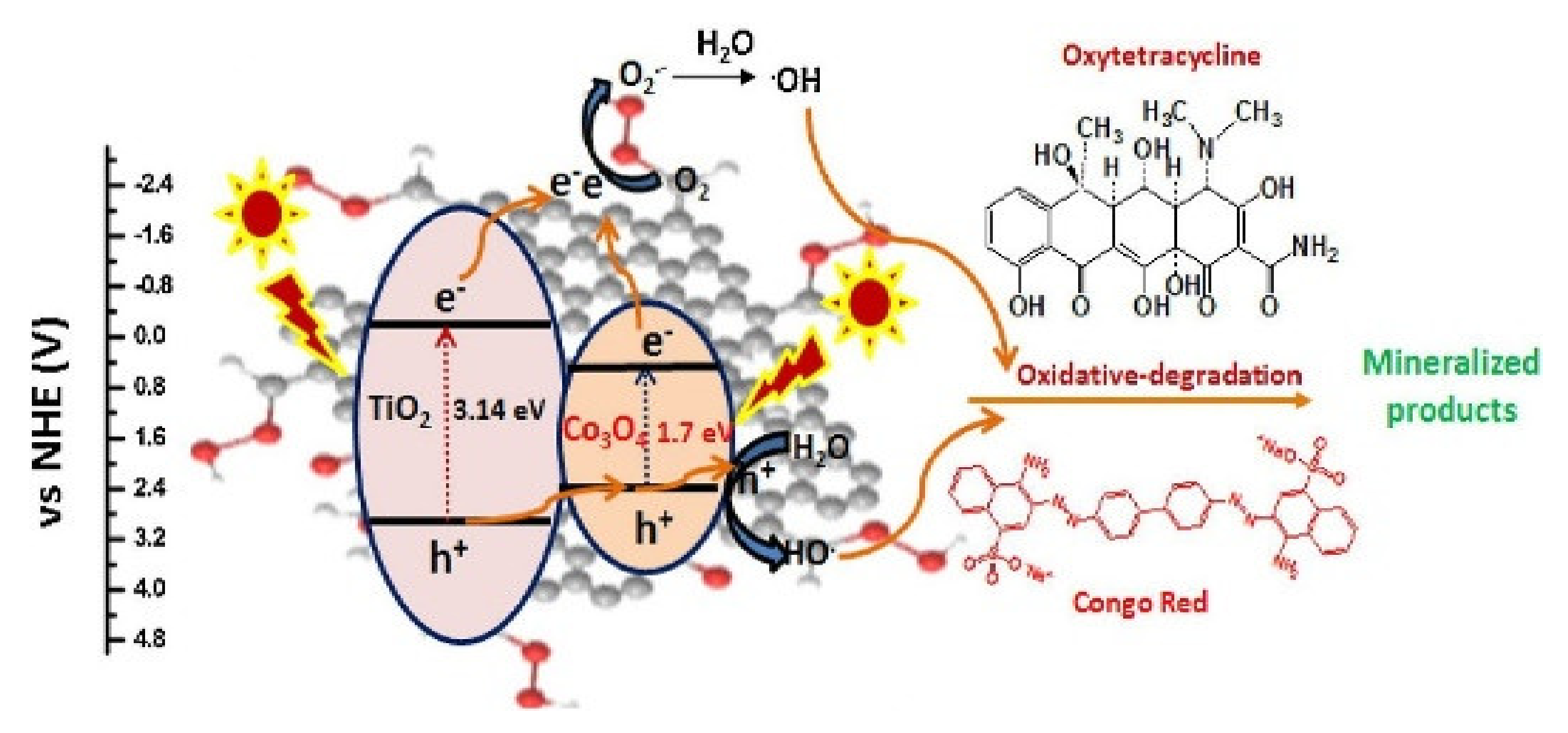 Sustainability 13 11676 g005