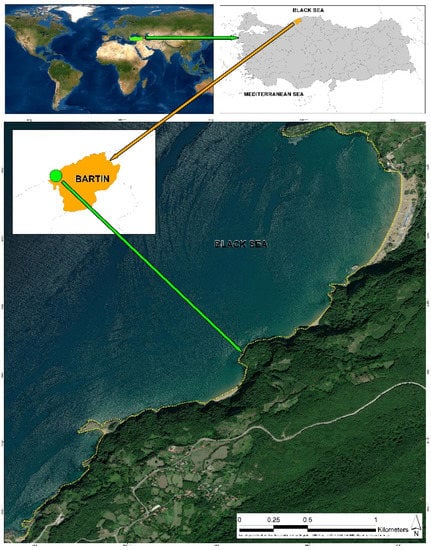 Sustainability Free Full Text Evaluation Of The Visitor Understanding Of Coastal Geotourism And Geoheritage Potential Based On Sustainable Regional Development In Western Black Sea Region Turkey Html