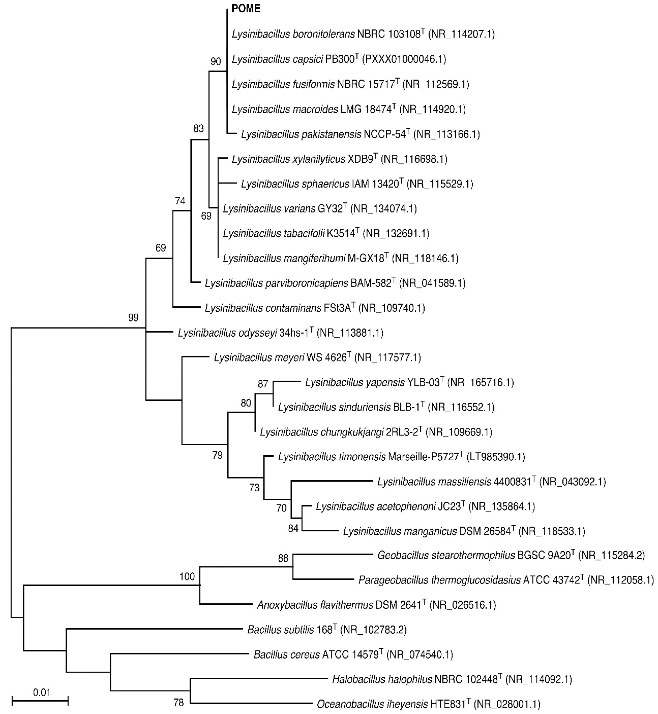 Sustainability 13 11915 g001
