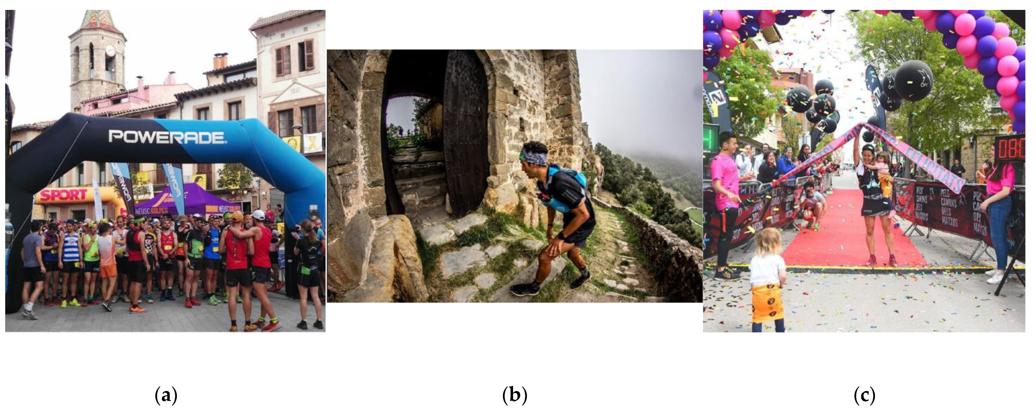 Sustainability 13 12255 g002