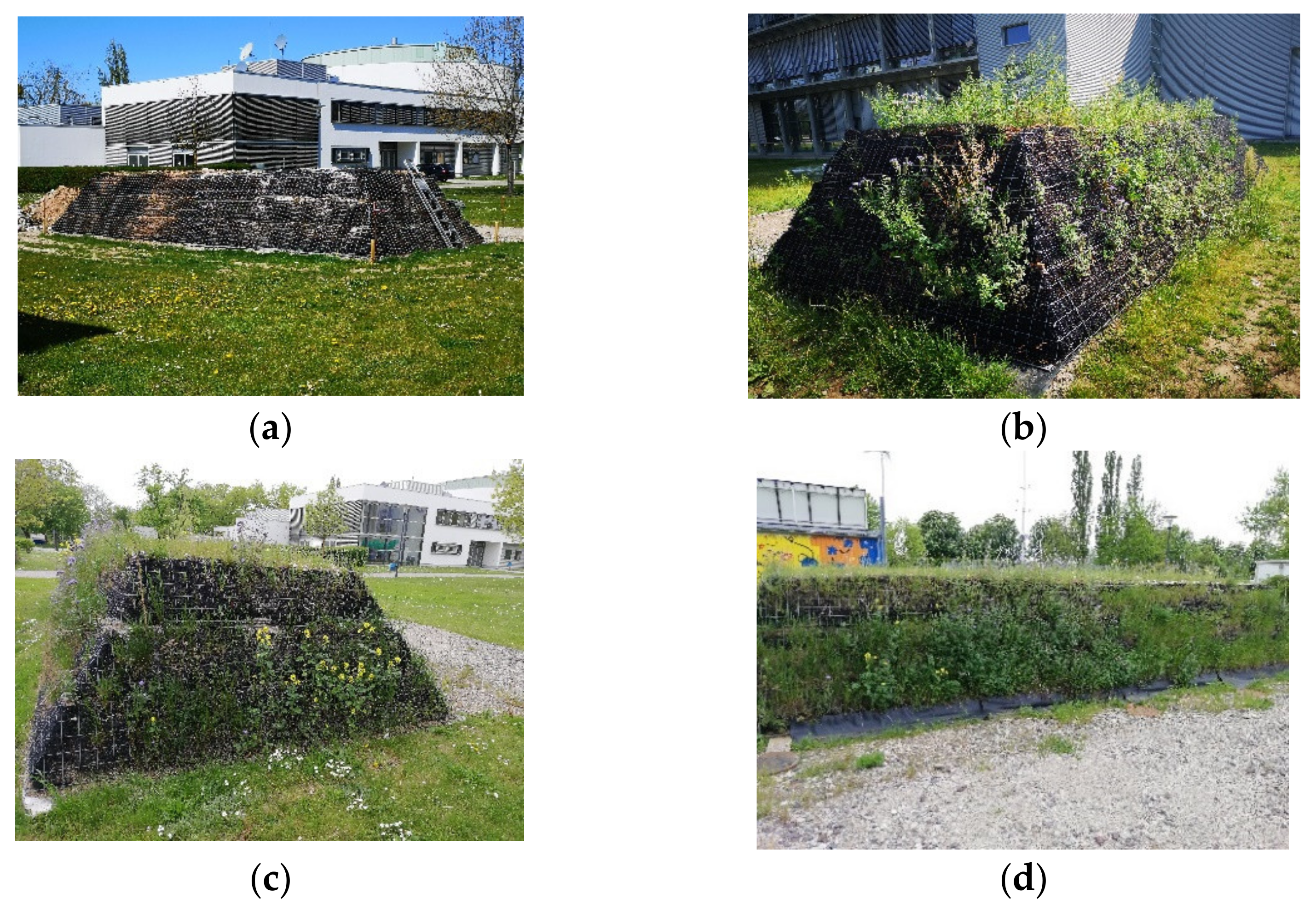 Sustainability 13 12519 g011