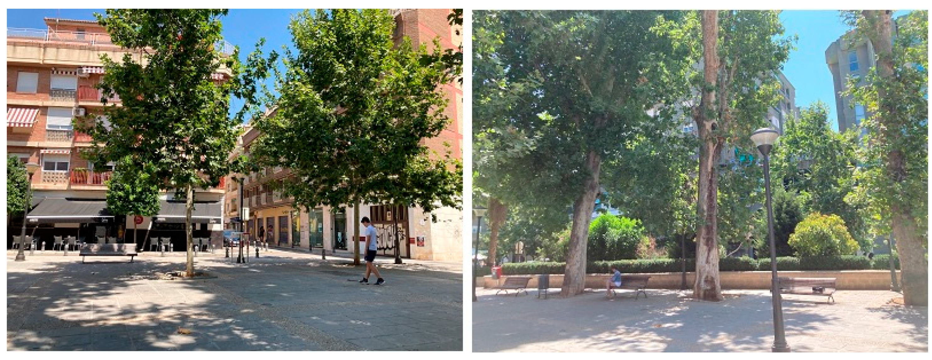 Sustainability 13 12732 g002