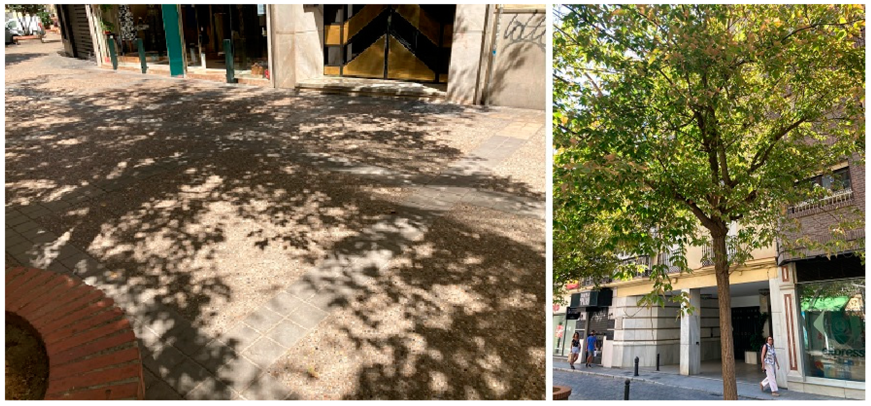 Sustainability 13 12732 g004