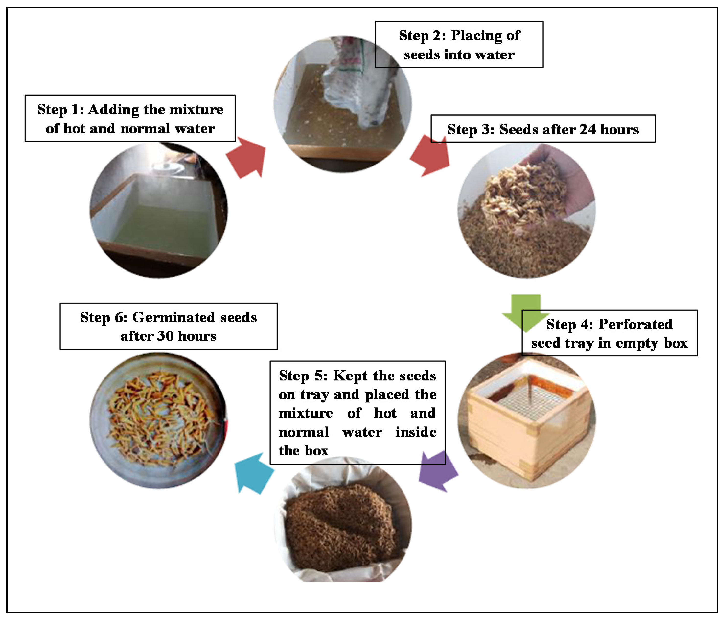 Sustainability 13 12910 g003