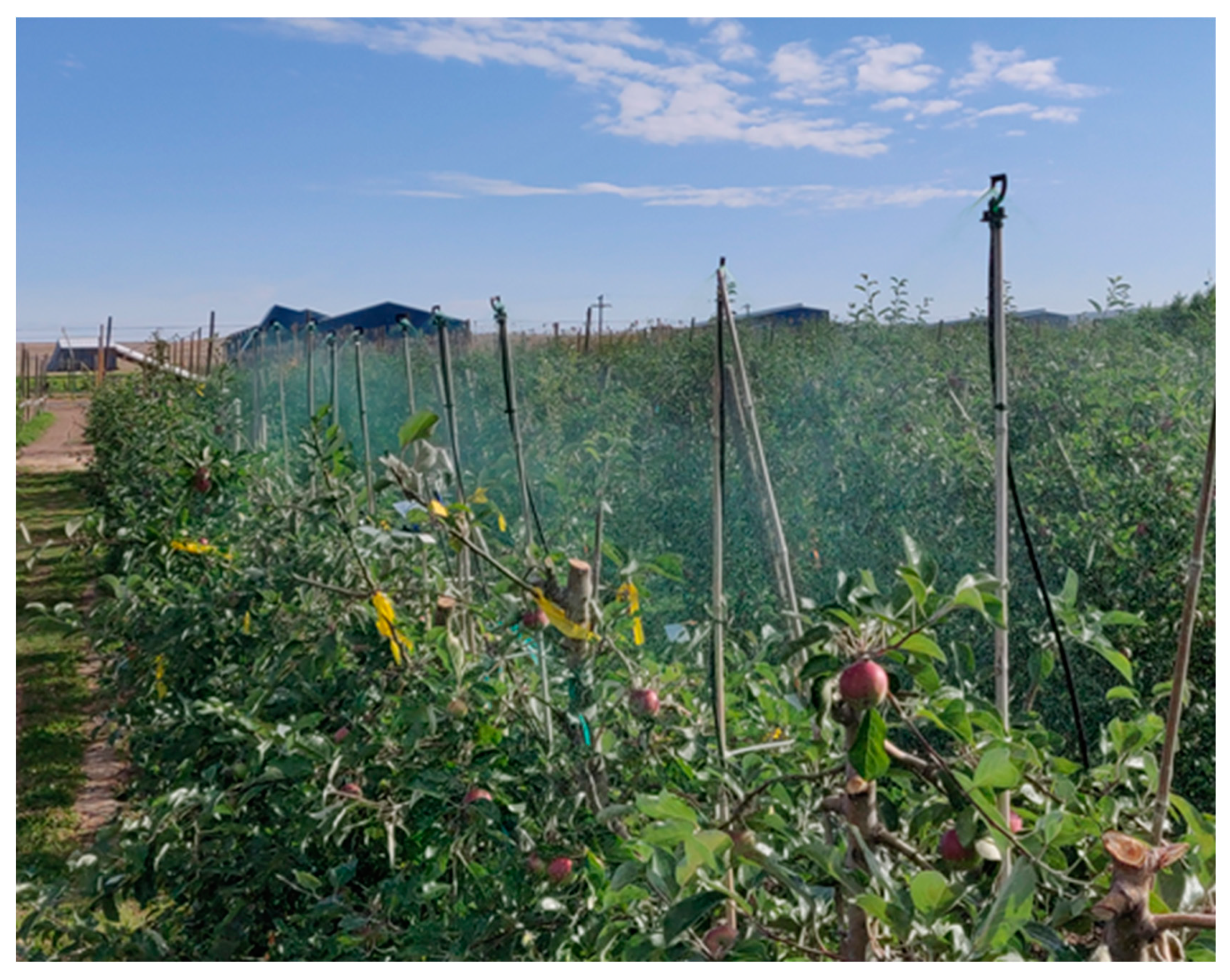 Sustainability 13 13248 g004