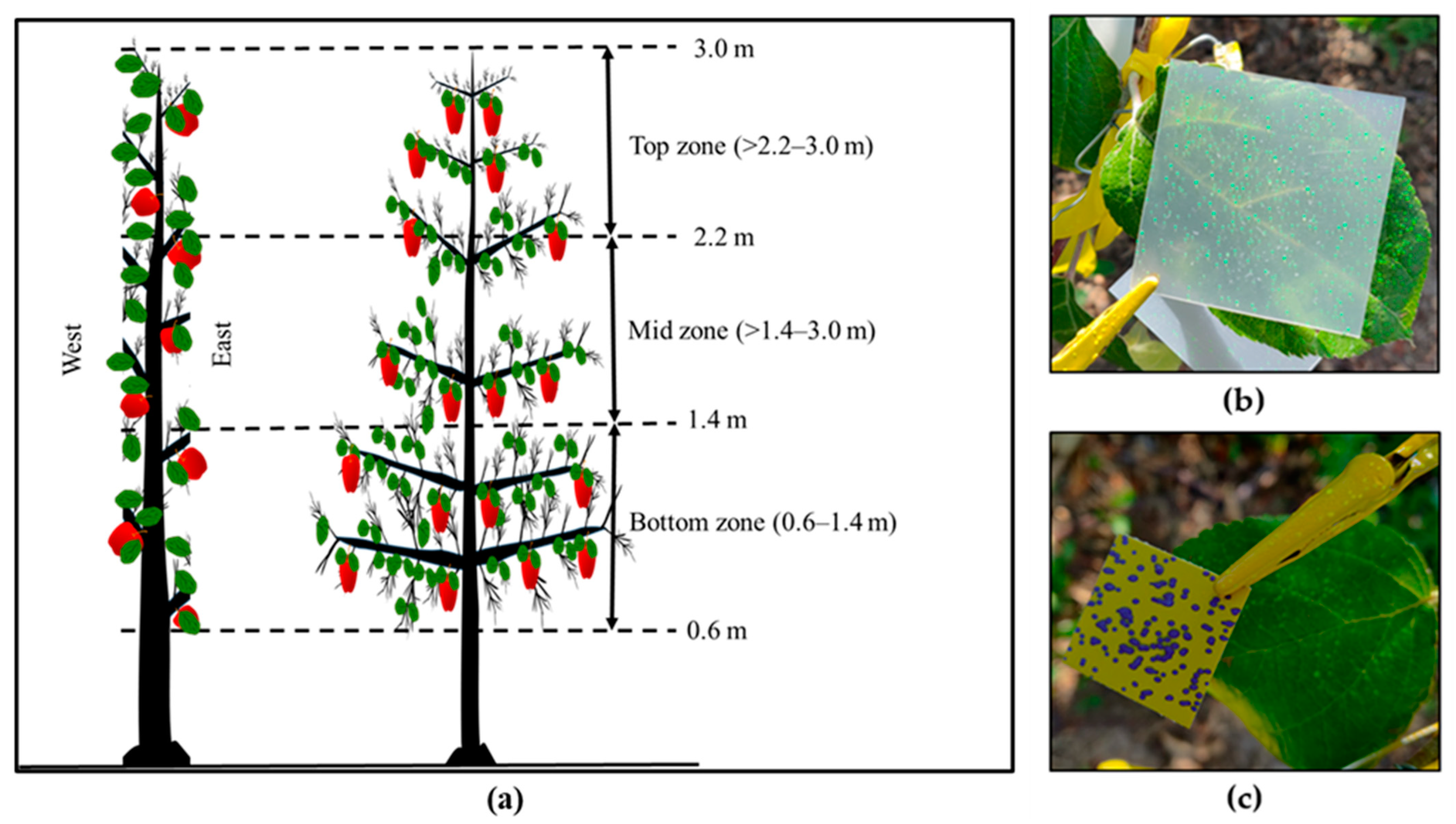 Sustainability 13 13248 g005