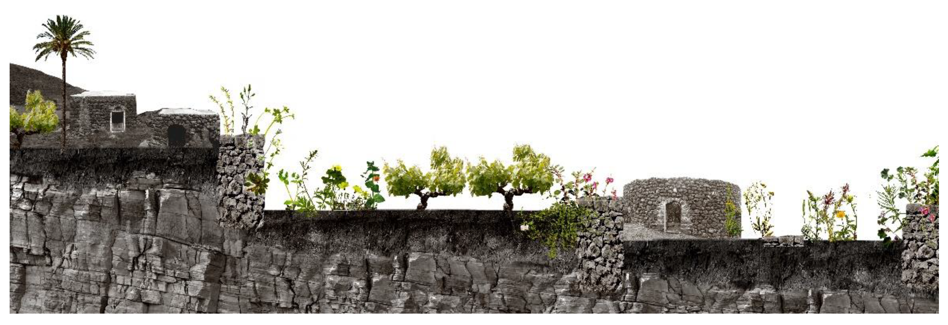 Sustainability 13 13371 g003