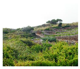 Sustainability 13 13371 i006