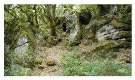 Sustainability 13 13371 i009