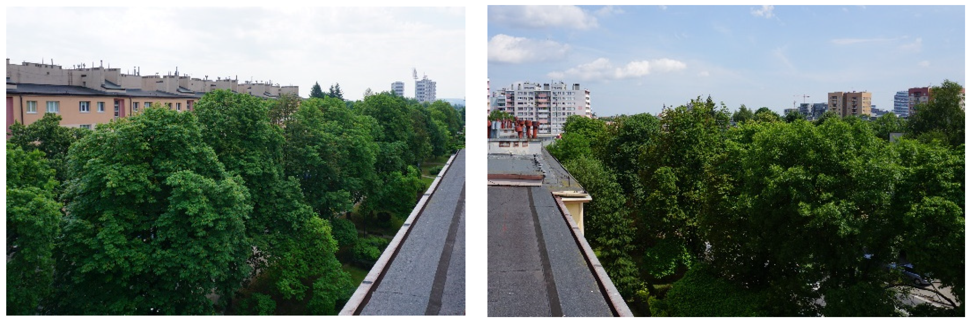 Sustainability 13 13486 g012