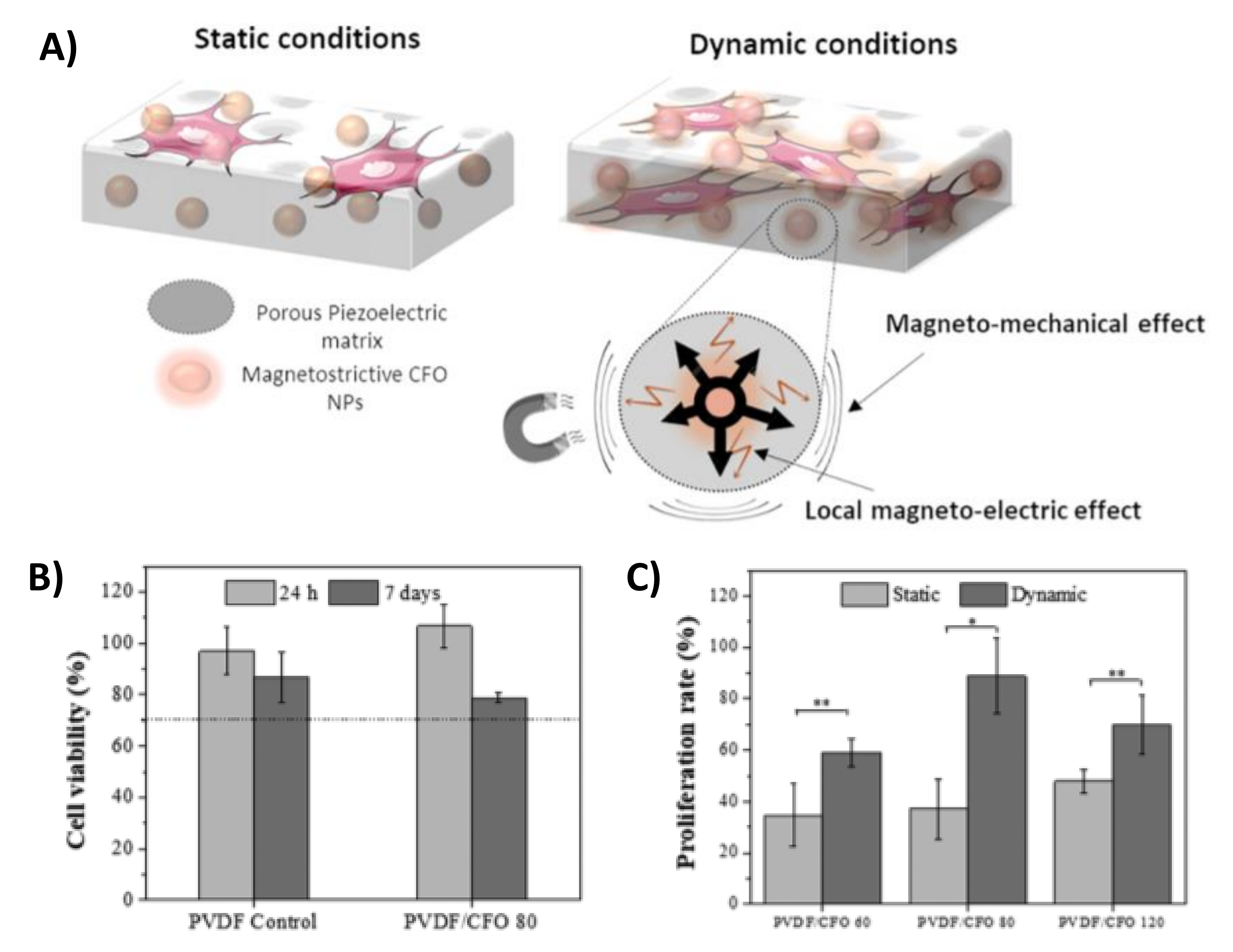 Sustainability 13 13655 g004