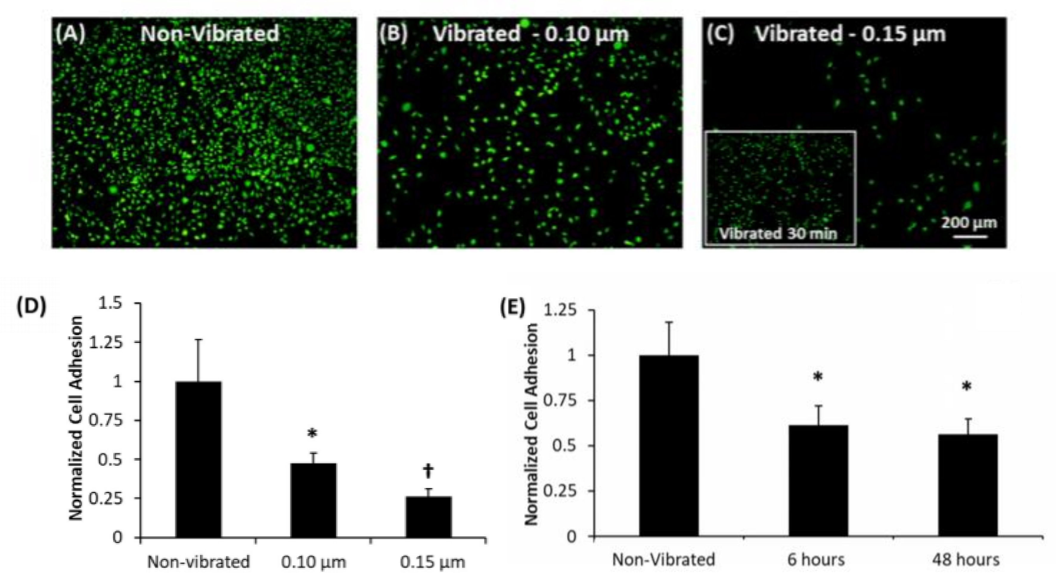 Sustainability 13 13655 g005