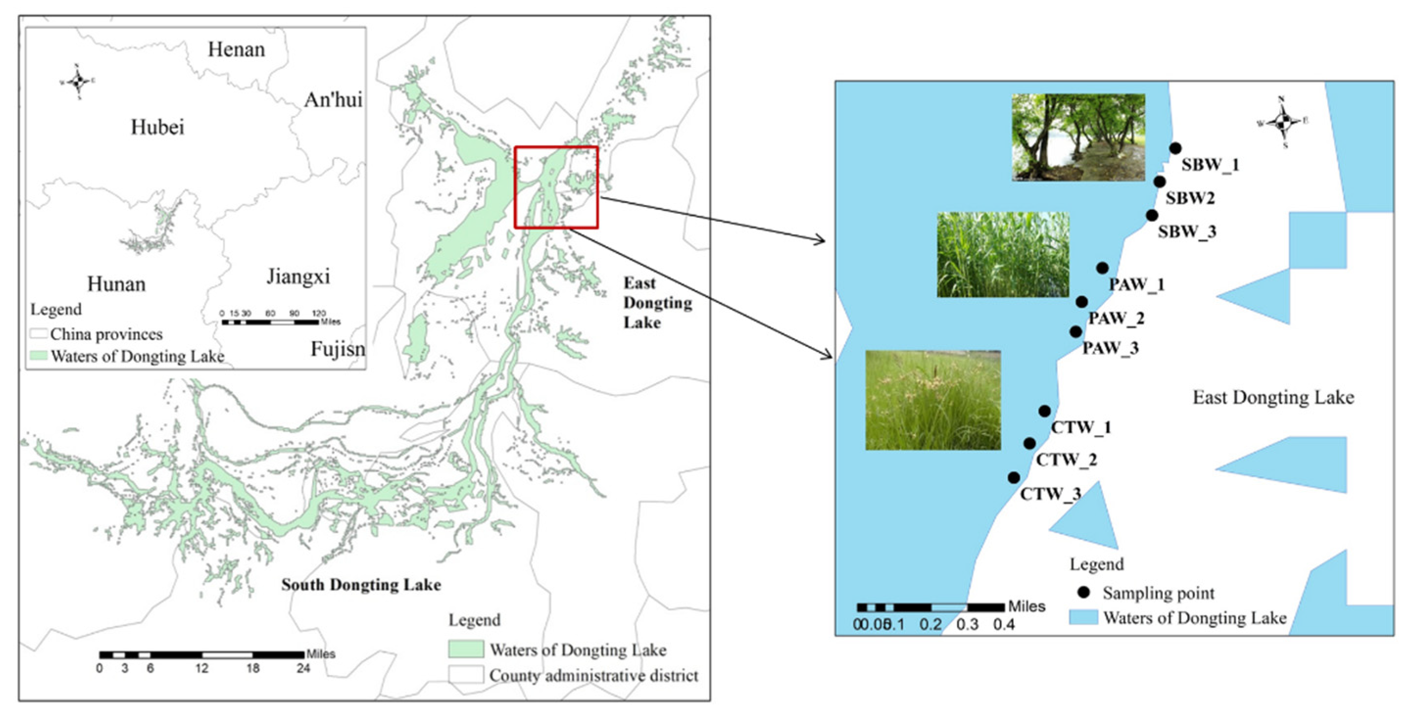 Sustainability 13 13836 g001