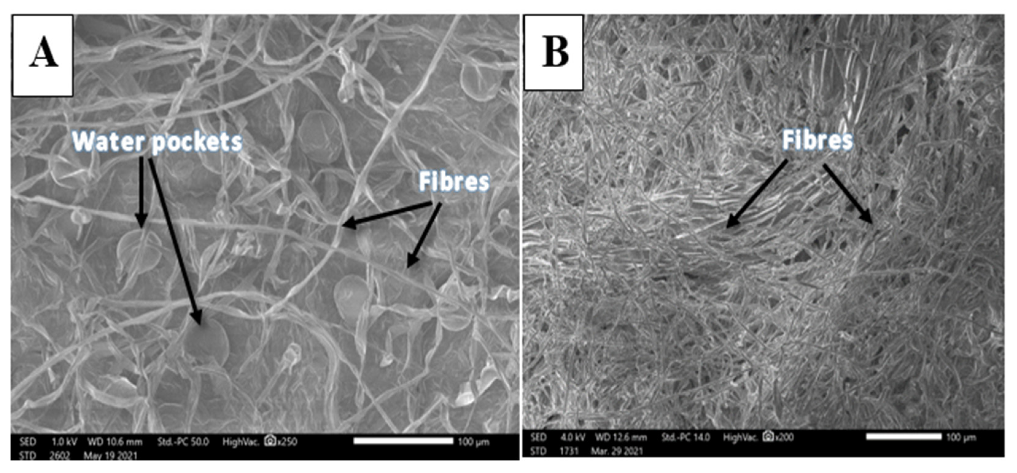 Sustainability 13 13905 g004