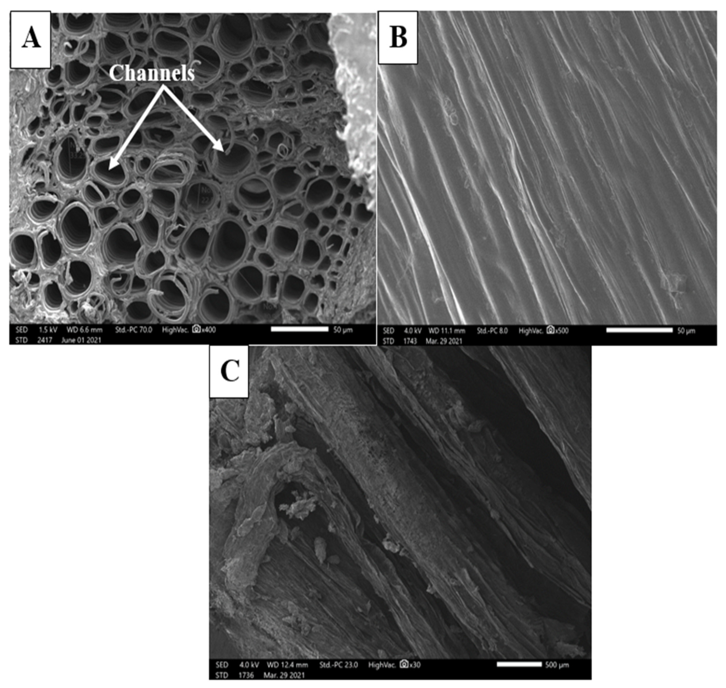Sustainability 13 13905 g005