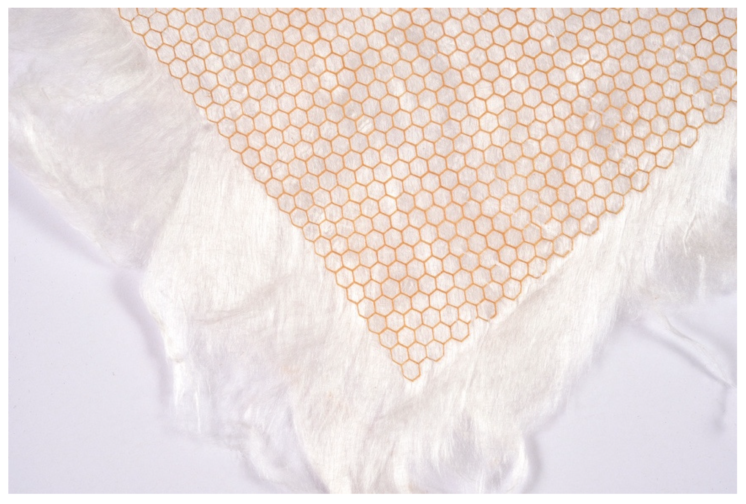 Sustainability 13 13910 g008