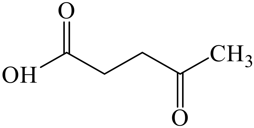 Sustainability 13 13919 g003