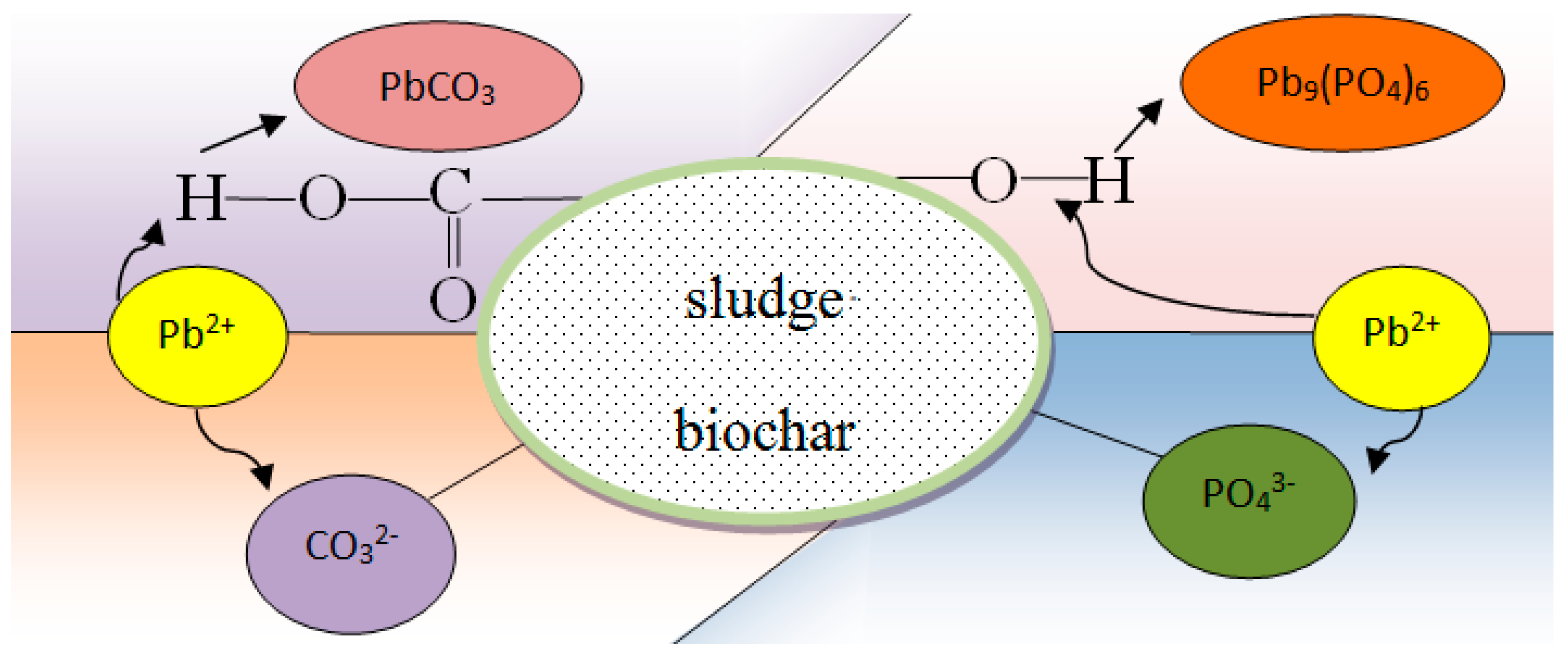 Sustainability 13 14041 g003